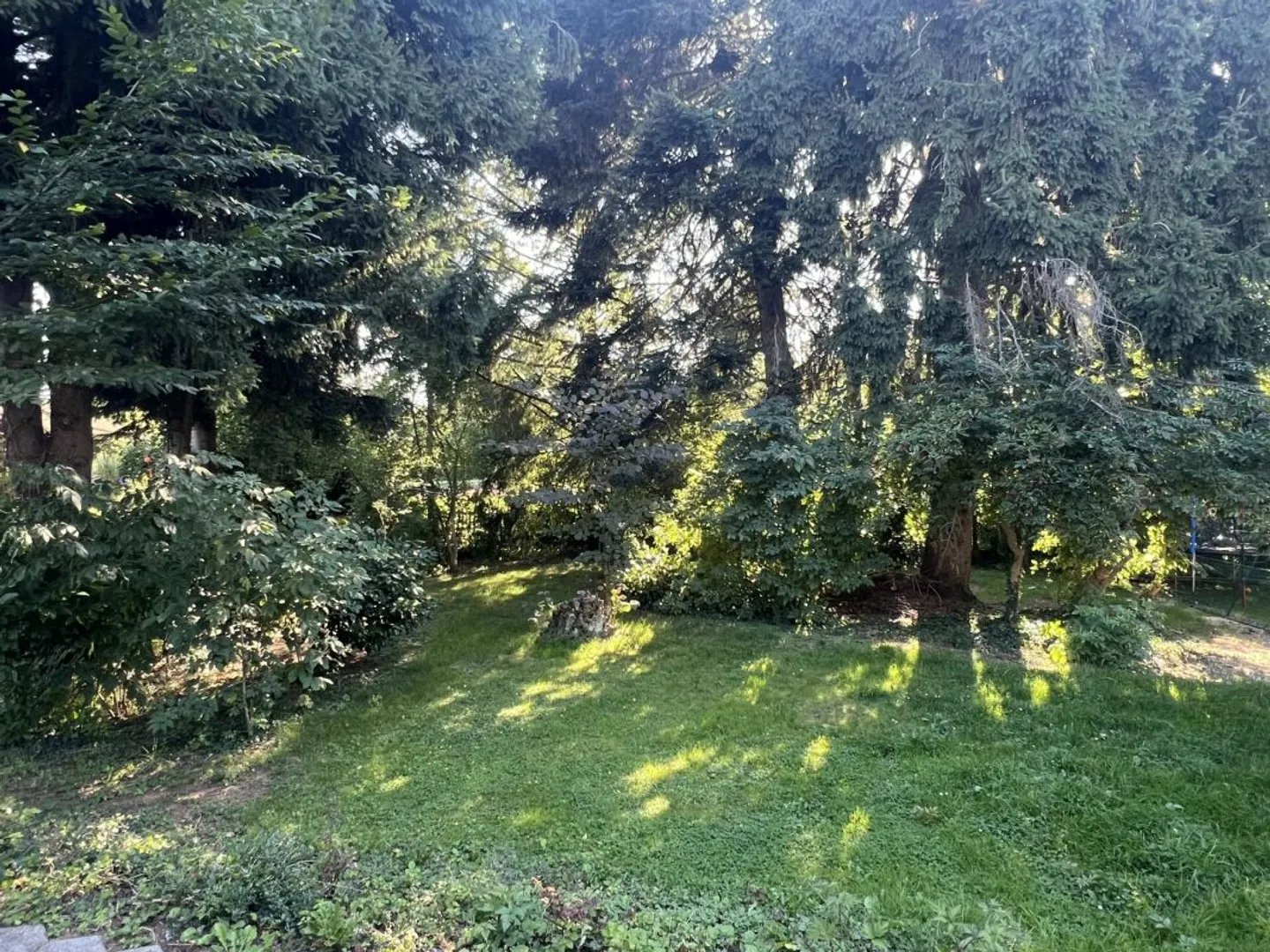 Einfamilienhaus mieten - Foto 3 von 17