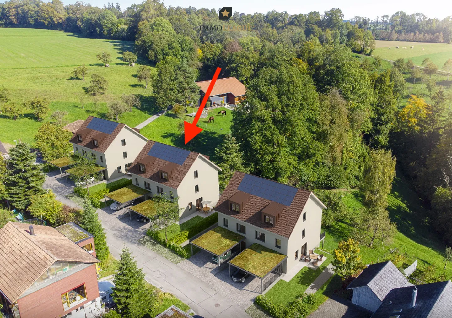 Ampio terreno con progetto di nuova costruzione approvato - Foto 3 di 11