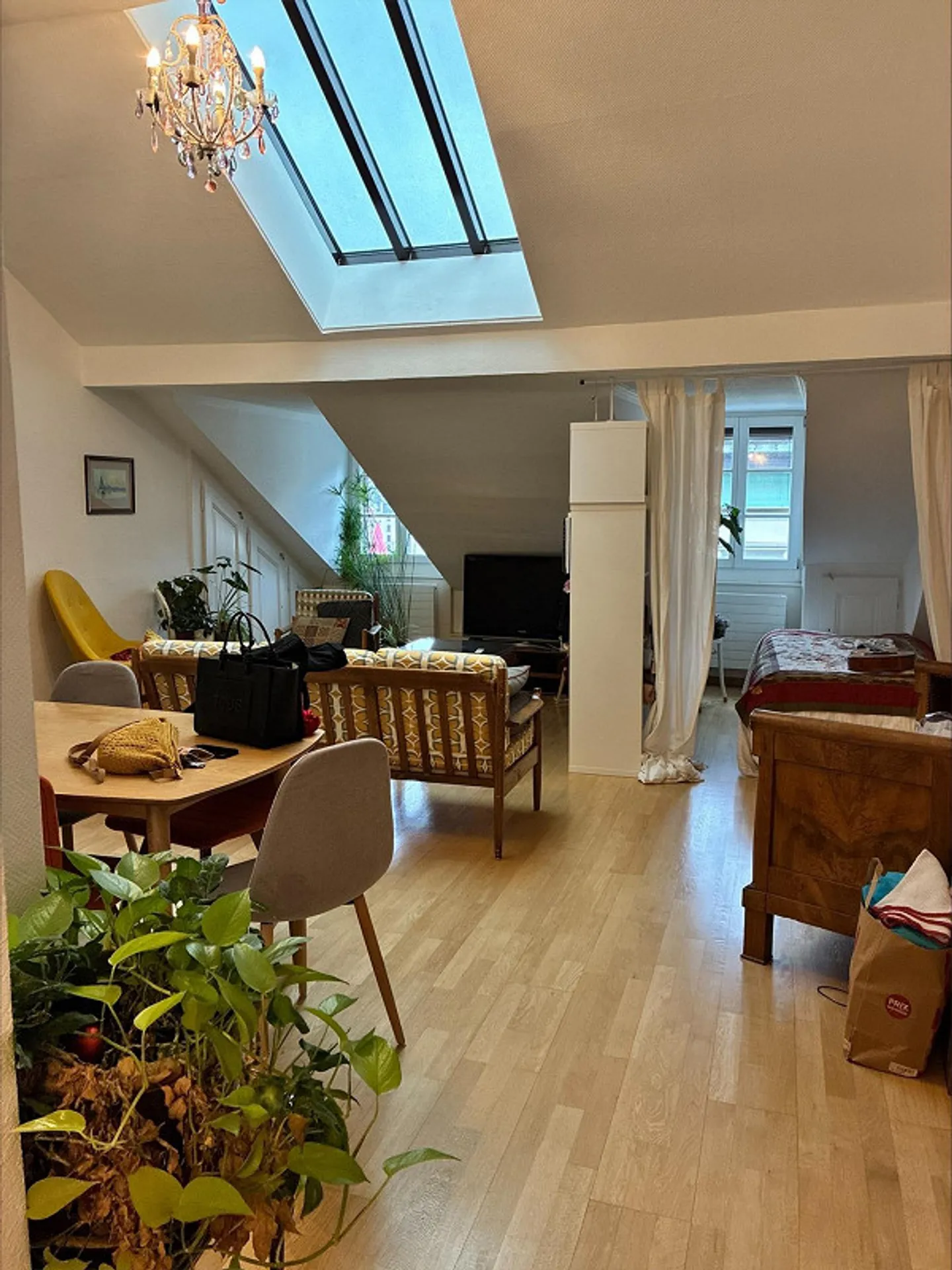 Attic apartment 4 rooms Plainpalais - Photo 2 of 8