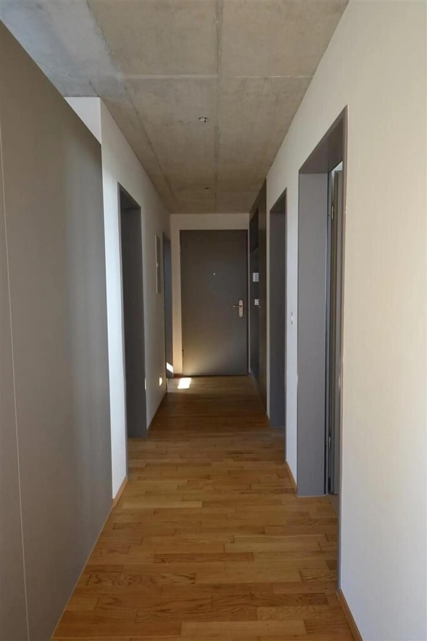 Living between Lake and Mountain Regions of Central Switzerland - Photo 10 of 12