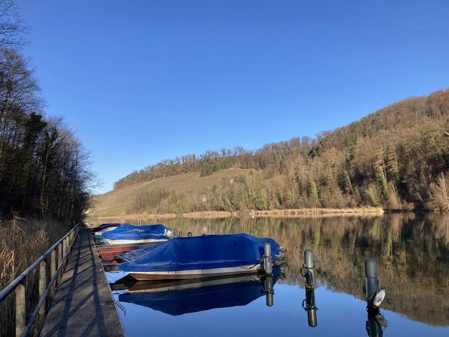 Helle 4½-Zimmerwohnung am Rhein - Foto 11 von 12