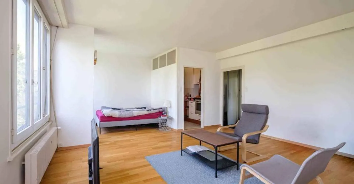 Bel appartamento di 2 stanze con vista a Eaux-Vives - Foto 4 di 9