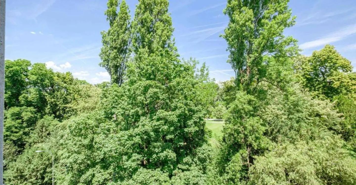 Bel appartamento di 2 stanze con vista a Eaux-Vives - Foto 7 di 9