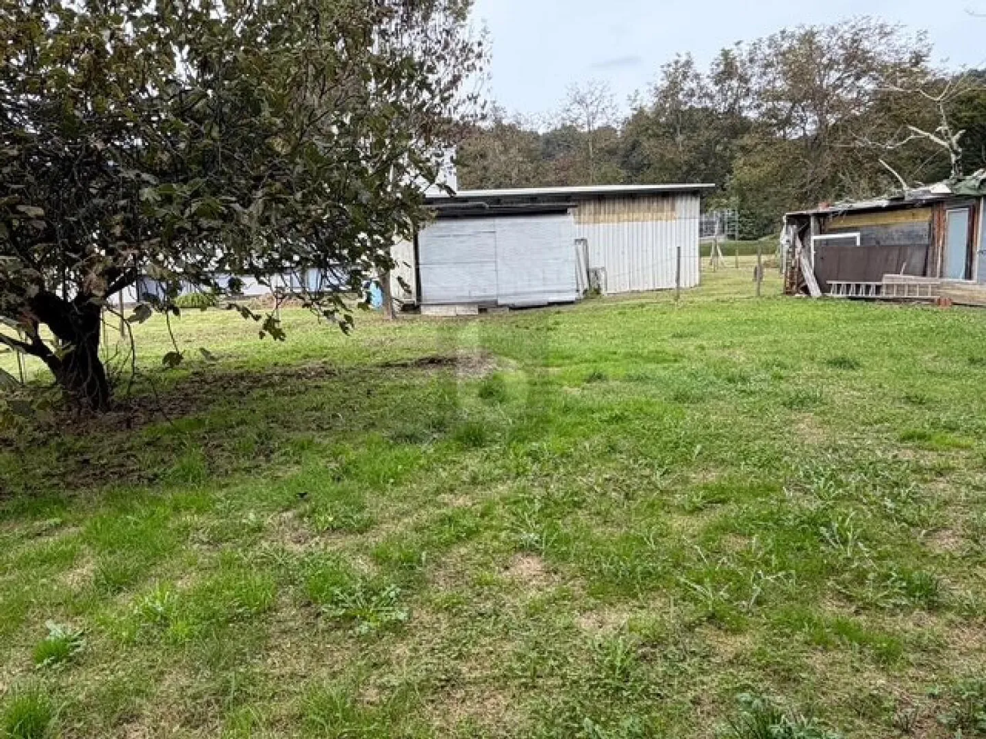 Quiet, sunny & ideally located - Photo 3 of 5