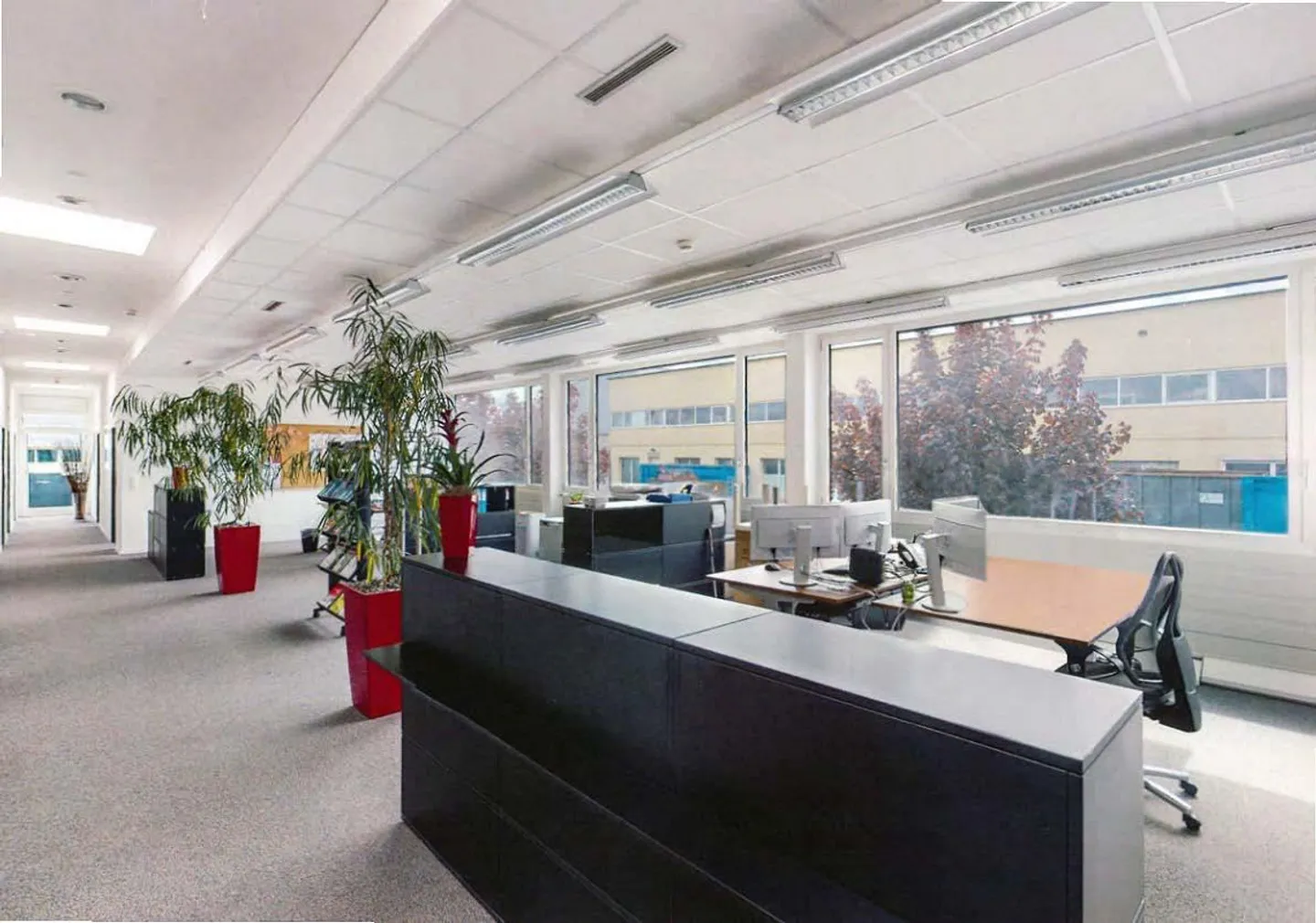 Modern Office and Industrial Building in Pfaffnau LU - Photo 2 of 13