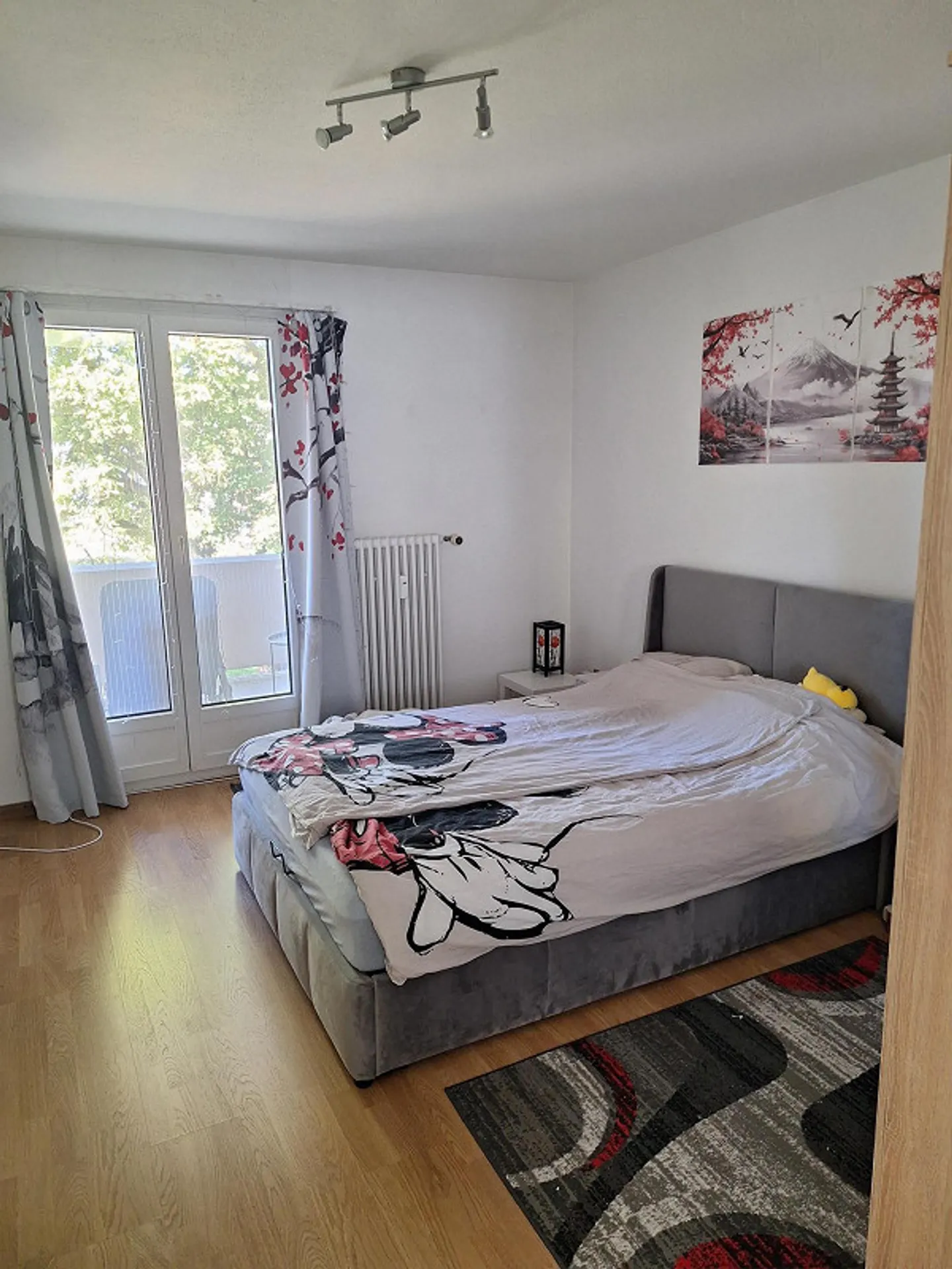 Appartamento soleggiato e tranquillo - Foto 3 di 6