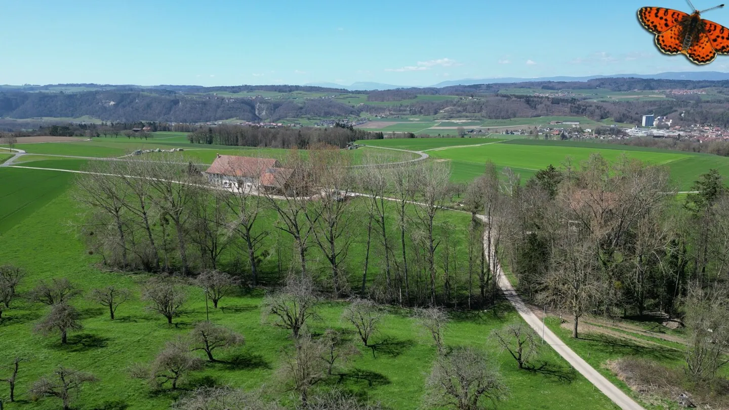 Ultima casa in vendita in totale calma di 212 m² con giardino! - Foto 7 di 10