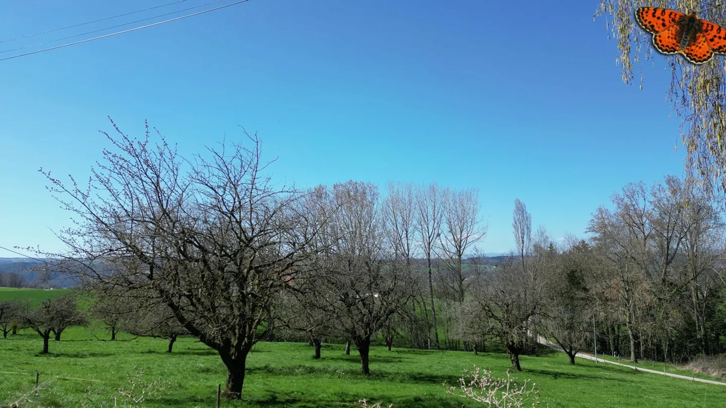 Ultima casa in vendita in totale calma di 212 m² con giardino! - Foto 8 di 10