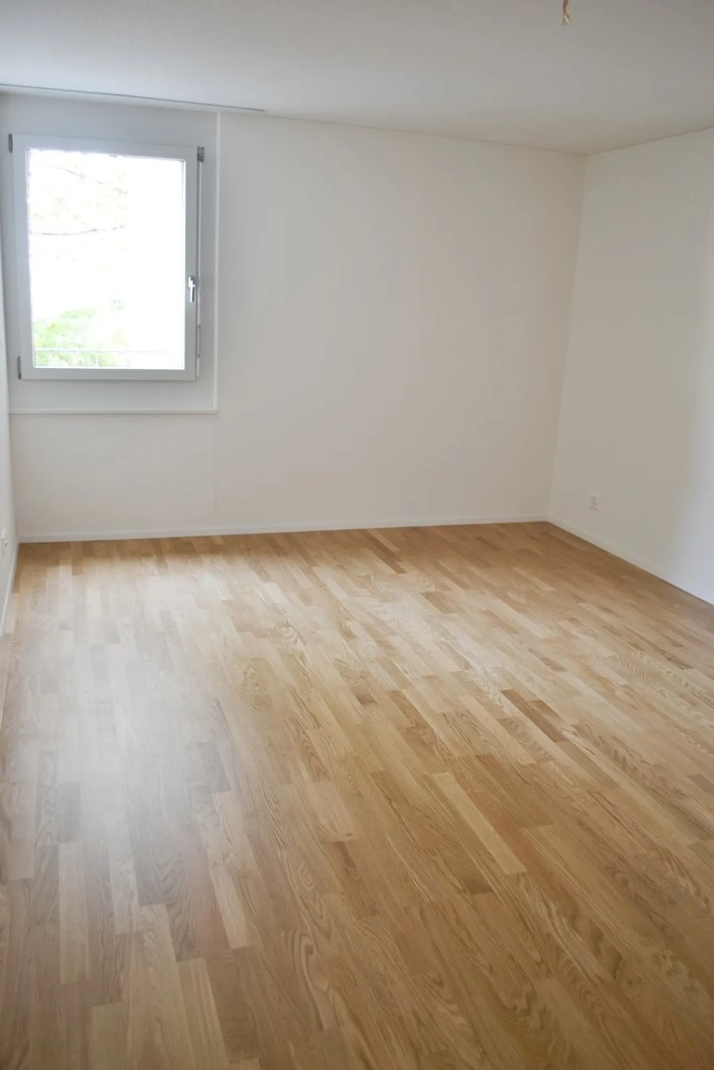 Cercate un appartamento con posto a sedere in giardino? - Foto 6 di 9