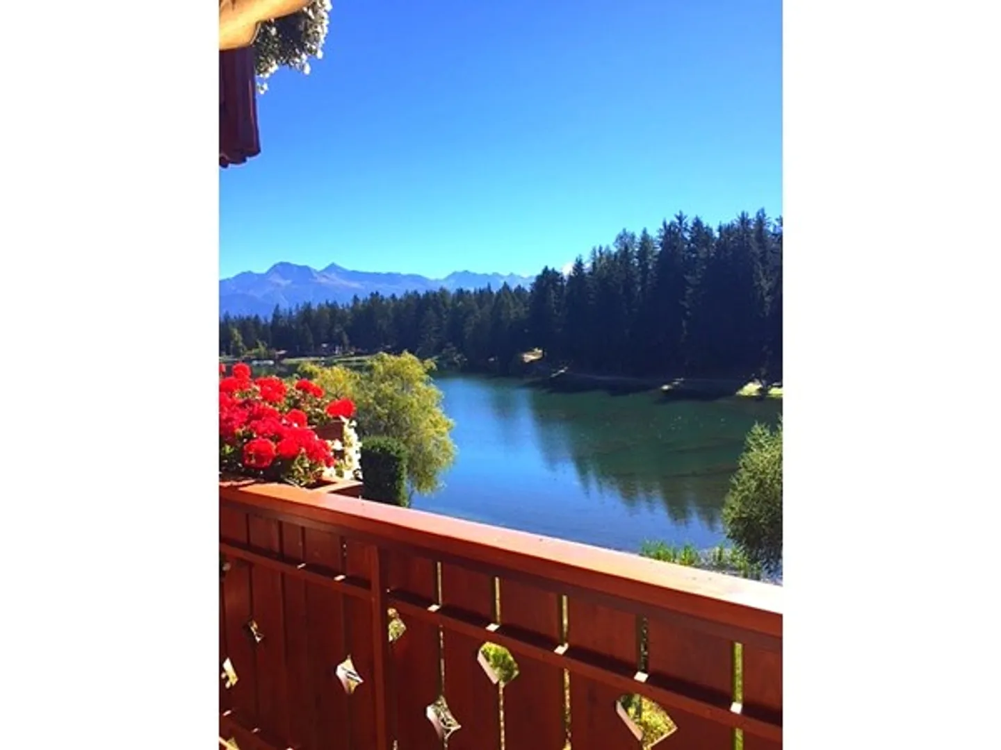 Charming Swiss Chalet Retreat - Photo 1 of 5