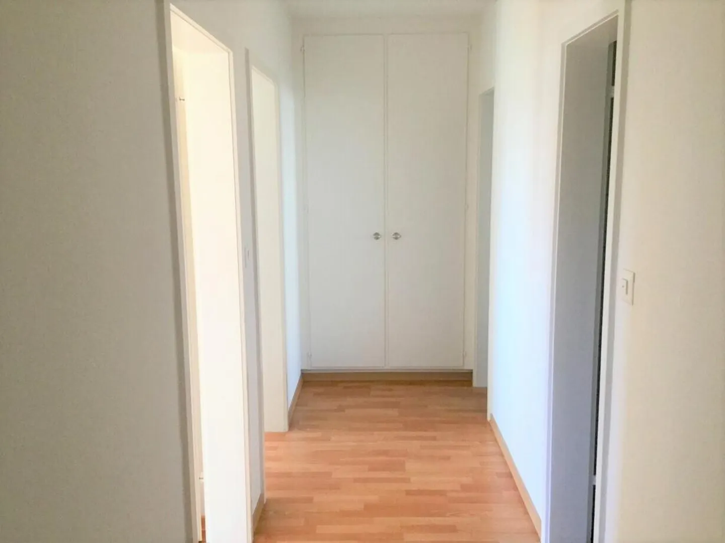 Viewing: Tuesday, March 24, 2026 from 5:45 PM - 6:30 PM - Photo 6 of 9