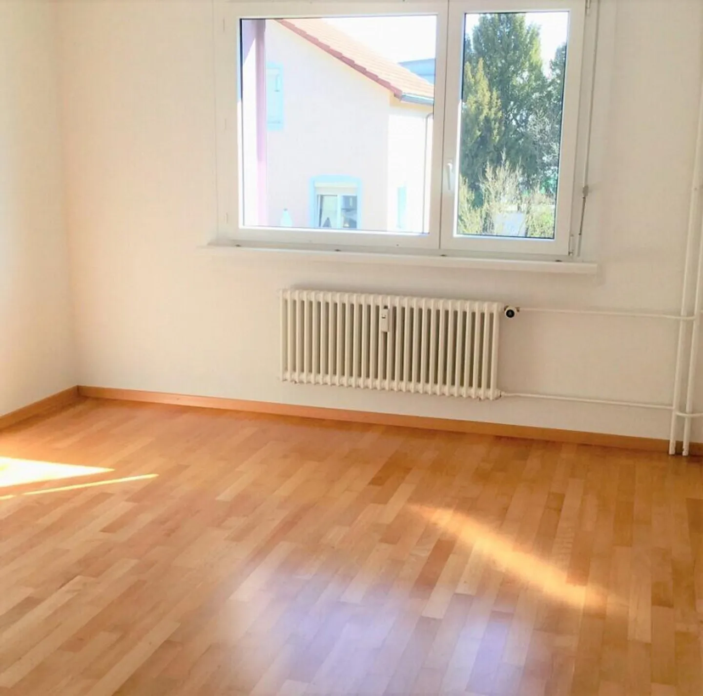 Viewing: Tuesday, March 24, 2026 from 5:45 PM - 6:30 PM - Photo 9 of 9