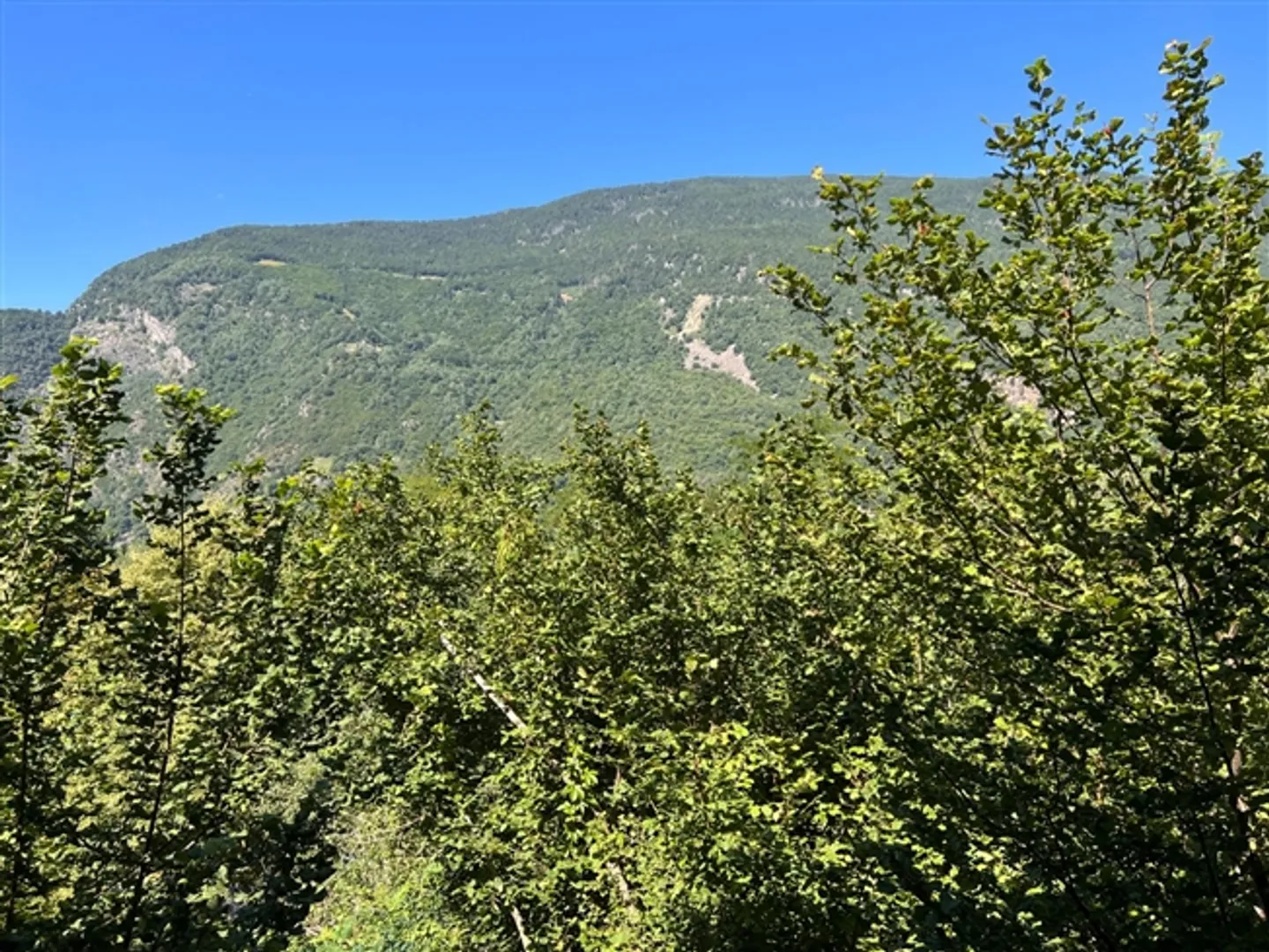 Rustique de 2,5 pièces dans un emplacement isolé dans la forêt - Photo 13 sur 20