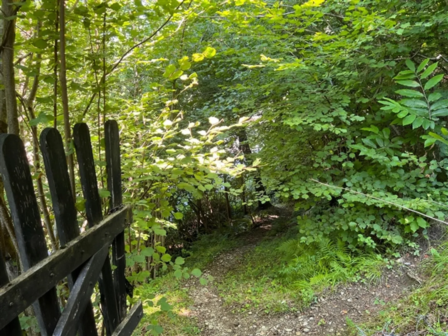 Rustique de 2,5 pièces dans un emplacement isolé dans la forêt - Photo 15 sur 20