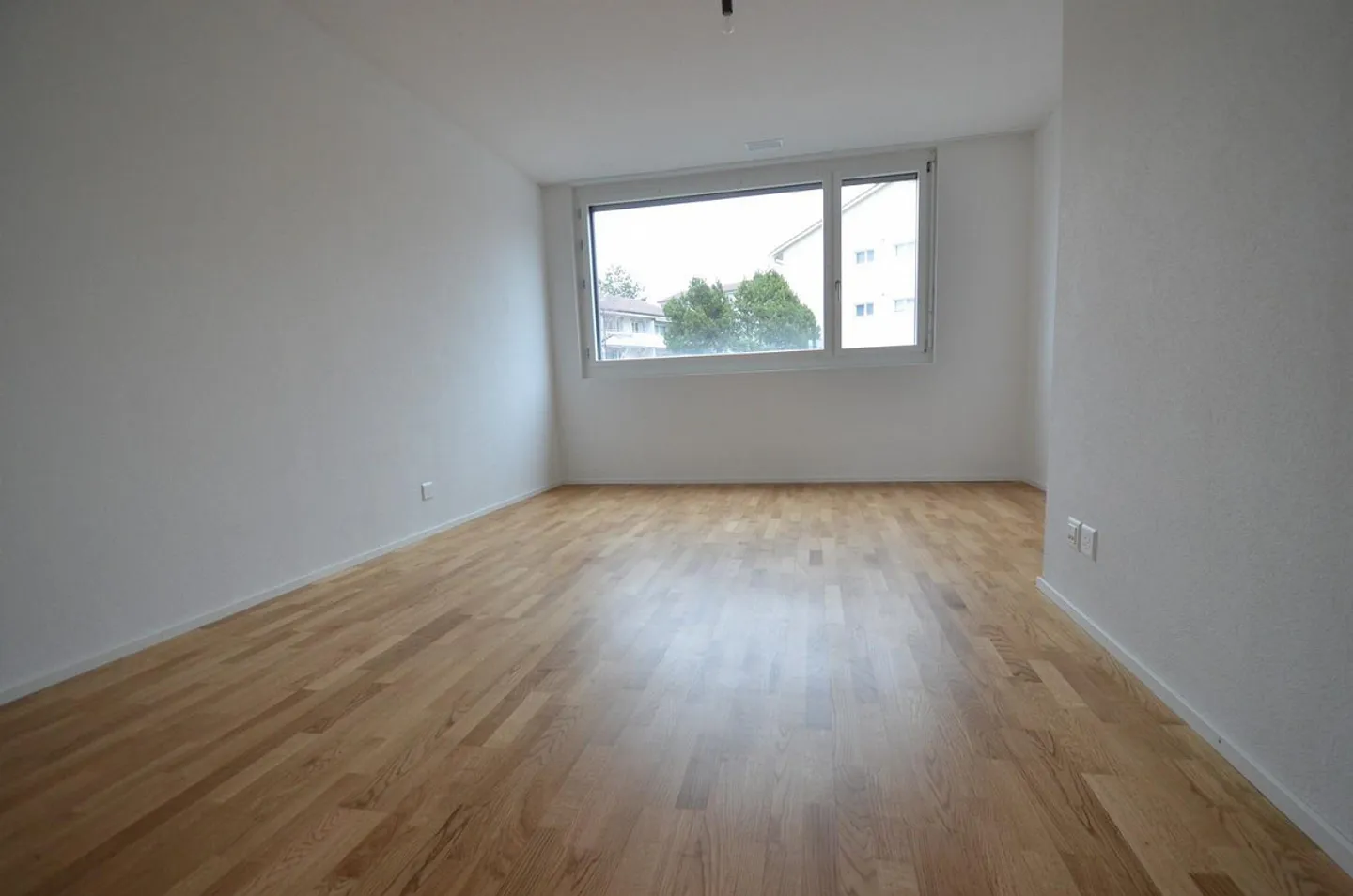 City and Country in One Hand - Photo 3 of 7