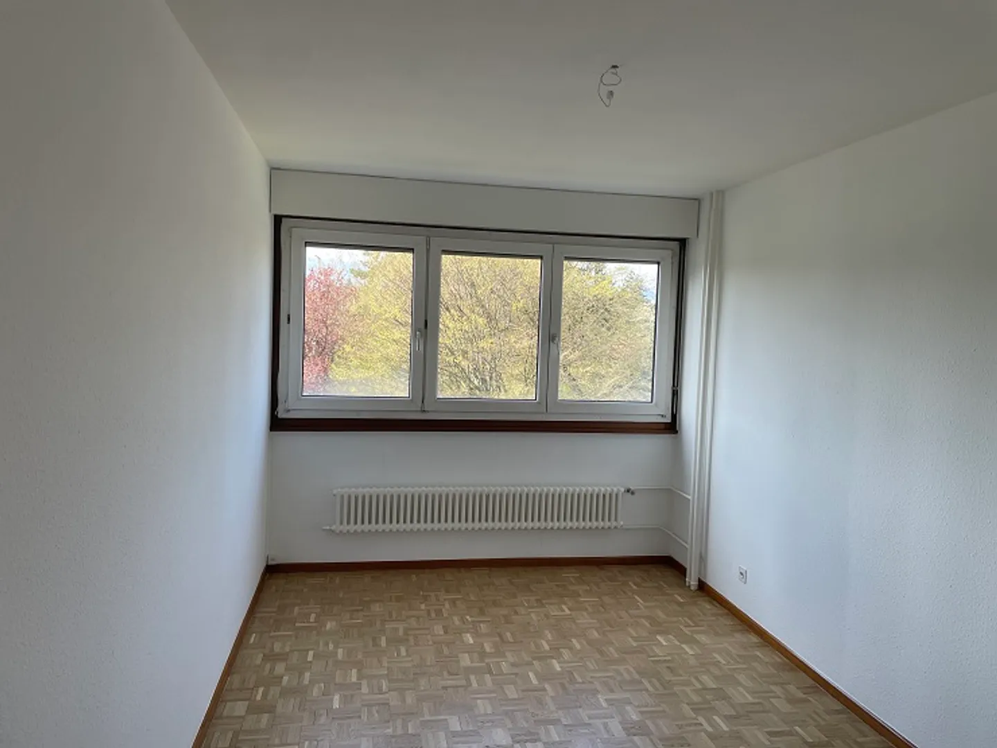 Appartamento 4.5 stanze - Foto 4 di 5