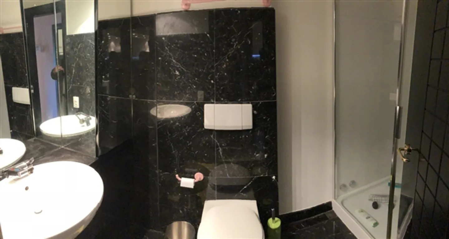 «PENTHOUSE IM GRÜNEN» - Foto 16 von 20