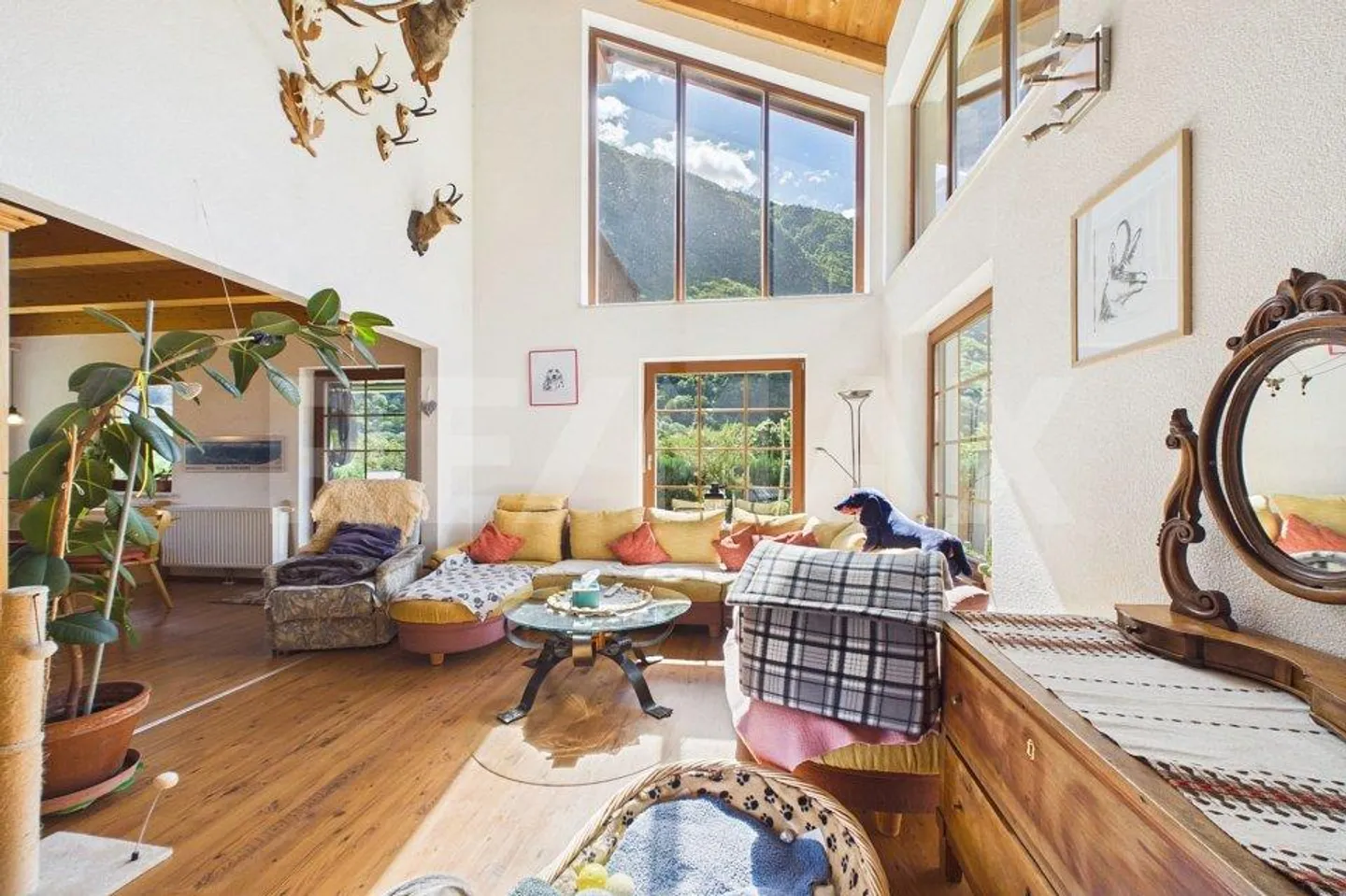 Modernes Einfamilienhaus in Cama - Foto 3 von 13
