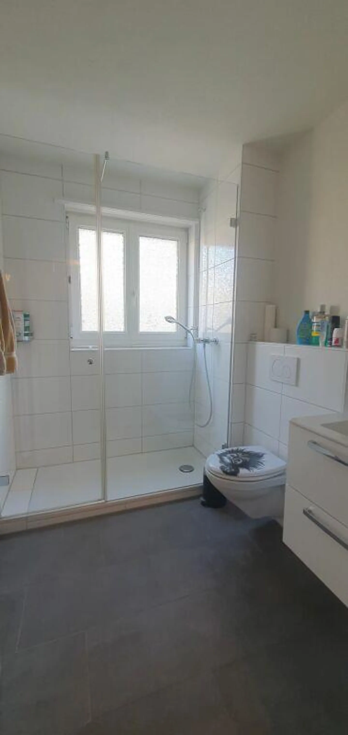 4-room apartment with balcony and magnificent views - Photo 10 of 12