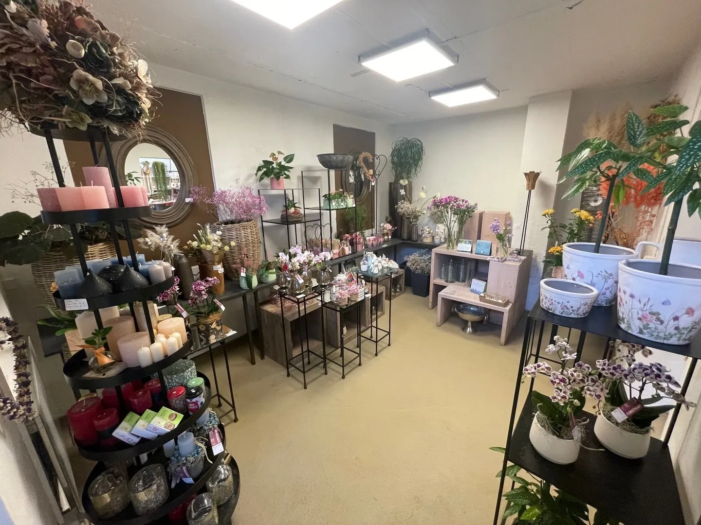 Espace de vente charmant avec atelier au centre d'Altdorf - Photo 7 sur 8