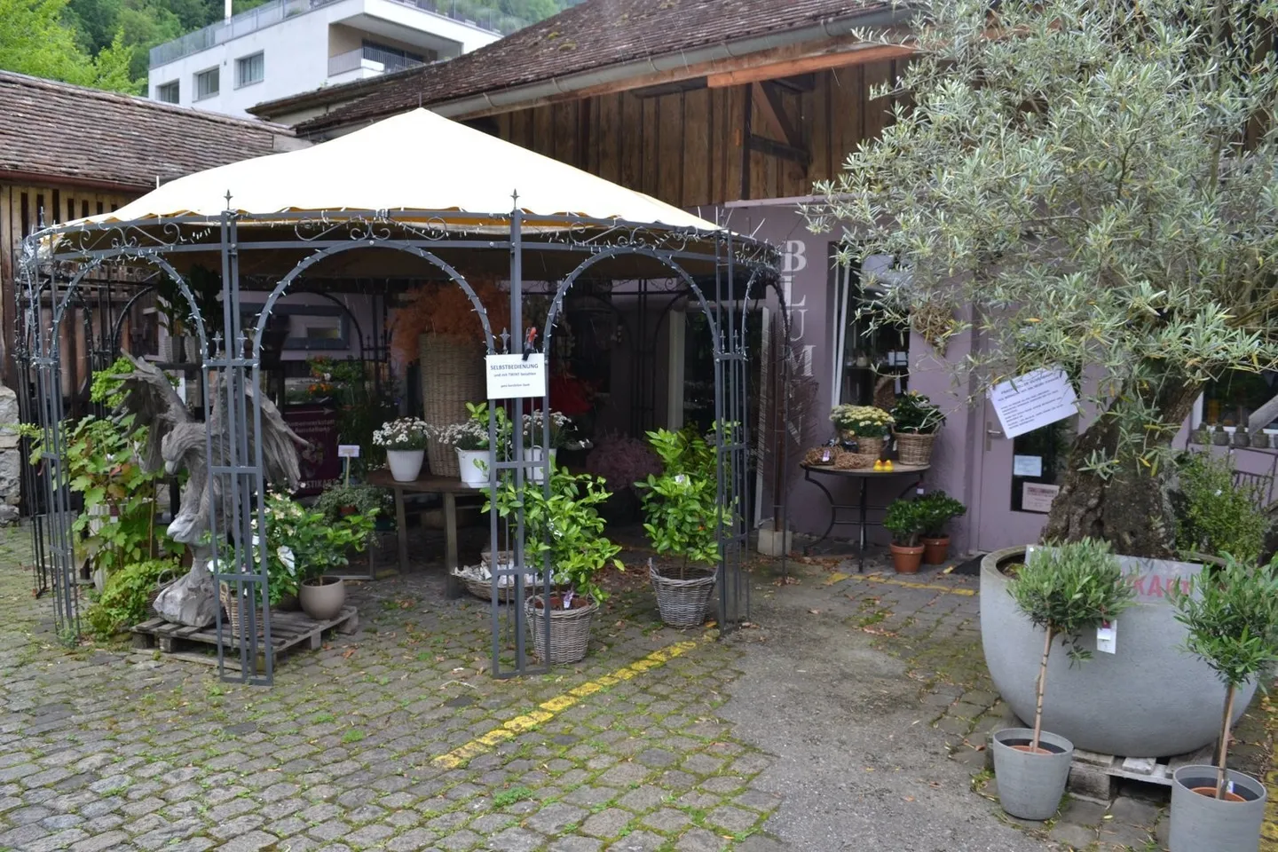 Espace de vente charmant avec atelier au centre d'Altdorf - Photo 8 sur 8