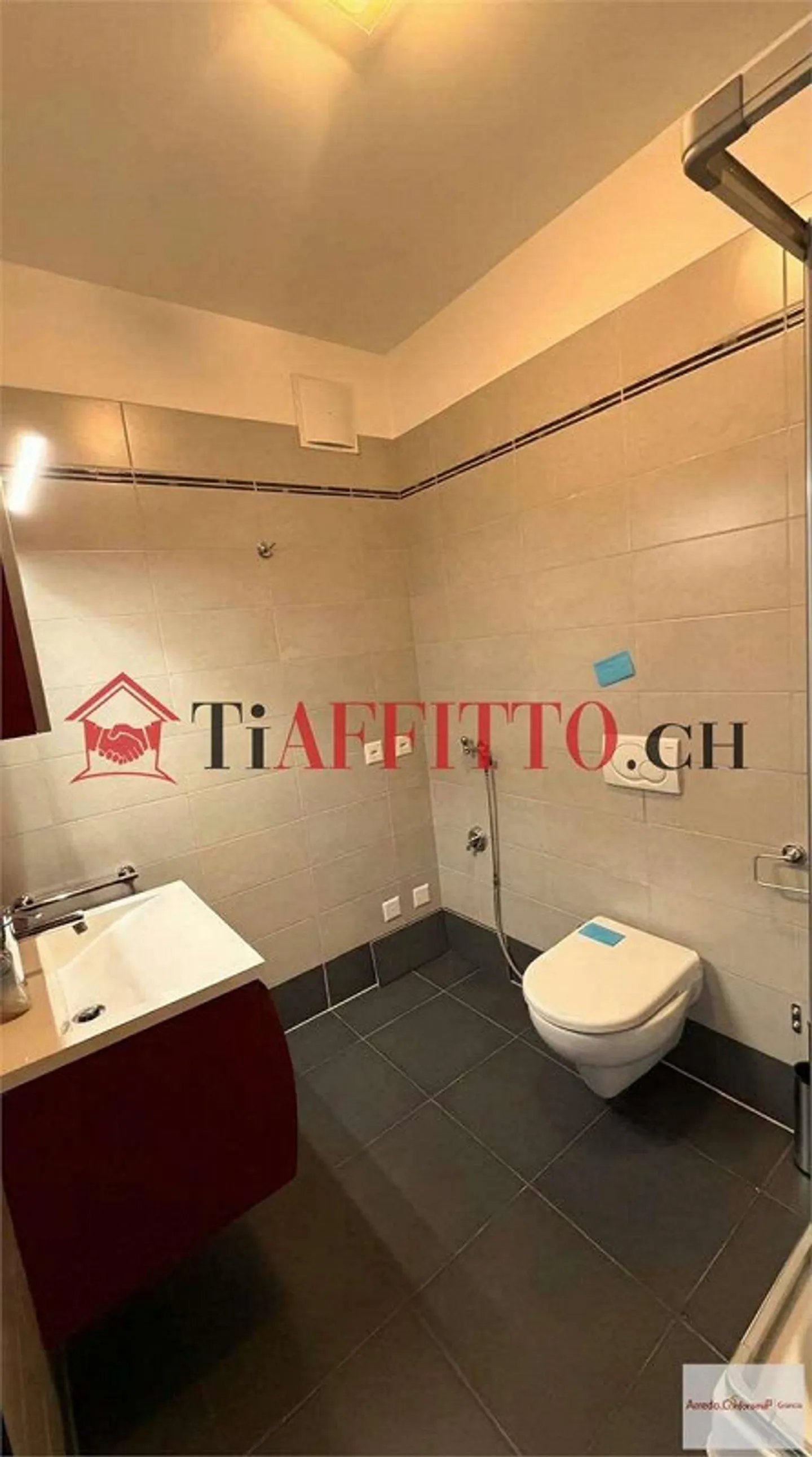 Luxury Penthouse with Terrace and Lake View in Paradiso - Photo 9 of 10