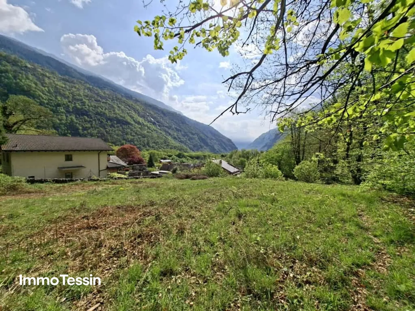 Spacious building land in the middle of nature with forest plot in a sunny, nature-friendly location 10 minutes by car from Biasca - Photo 3 of 10
