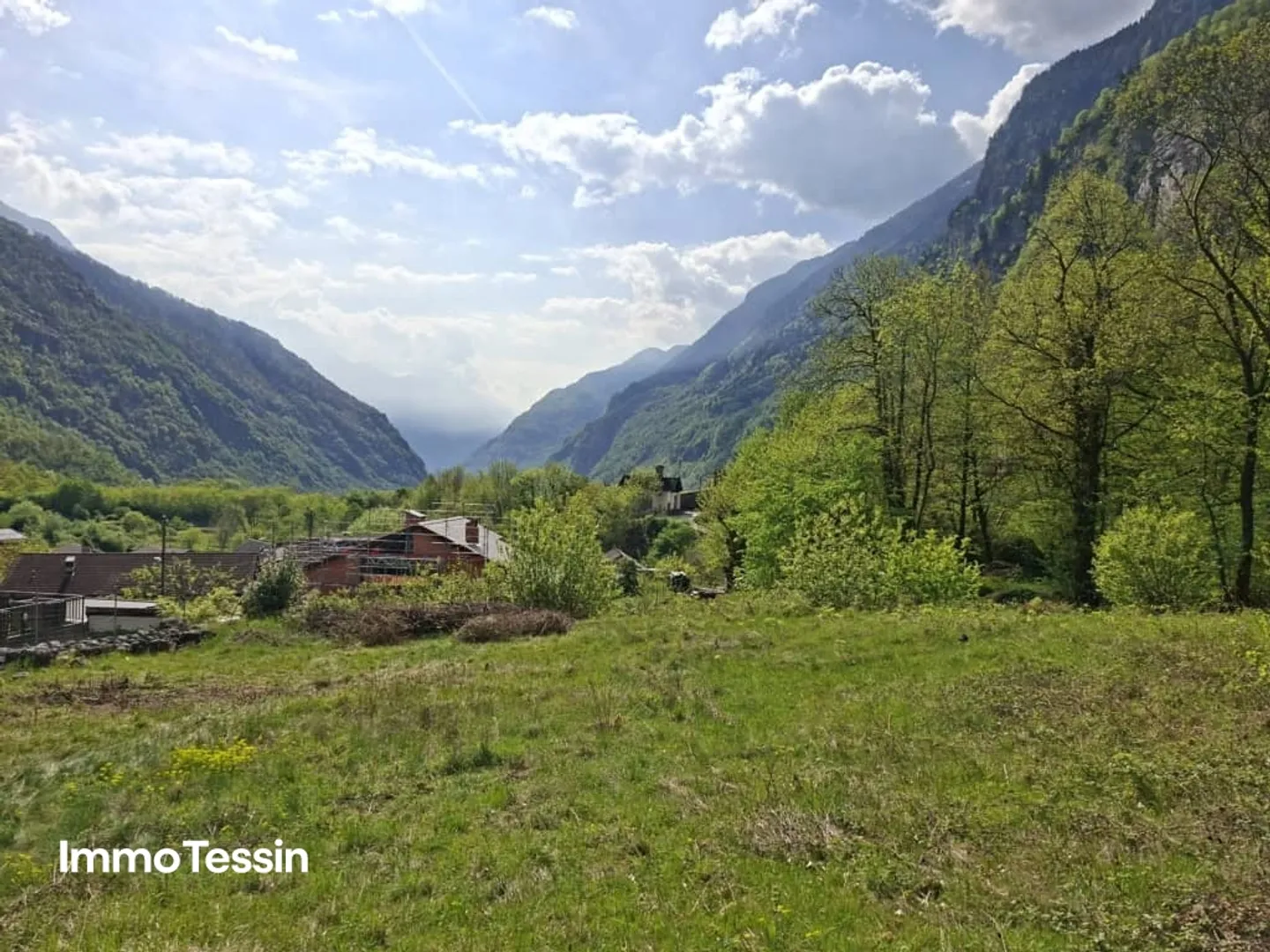 Spacious building land in the middle of nature with forest plot in a sunny, nature-friendly location 10 minutes by car from Biasca - Photo 4 of 10
