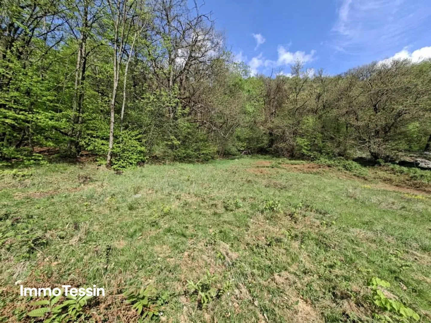 Spacious building land in the middle of nature with forest plot in a sunny, nature-friendly location 10 minutes by car from Biasca - Photo 5 of 10