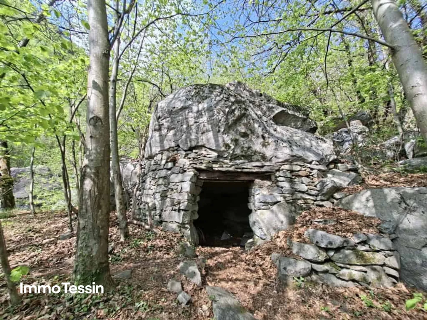 Spacious building land in the middle of nature with forest plot in a sunny, nature-friendly location 10 minutes by car from Biasca - Photo 7 of 10
