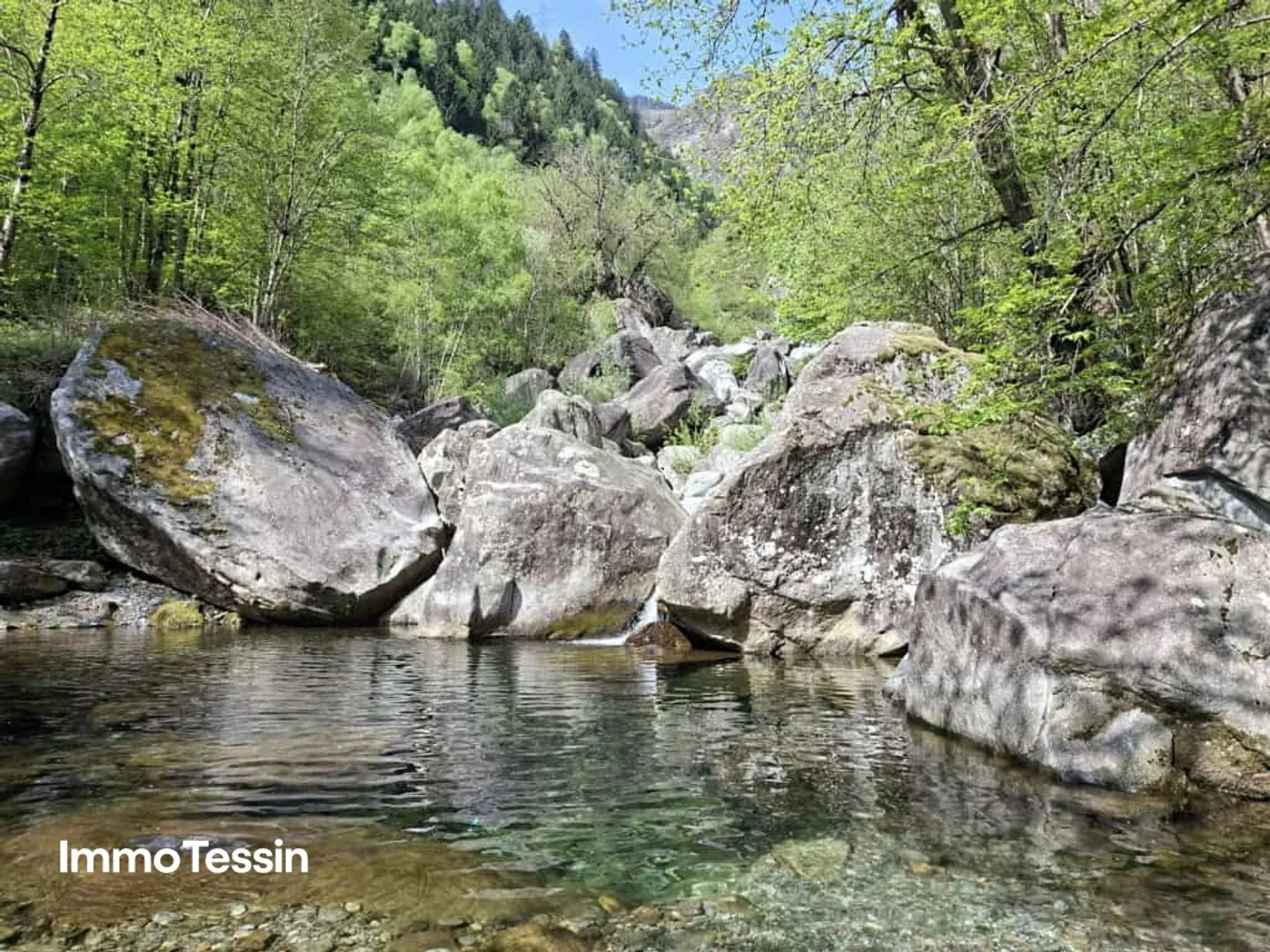 Spacious building land in the middle of nature with forest plot in a sunny, nature-friendly location 10 minutes by car from Biasca - Photo 10 of 10