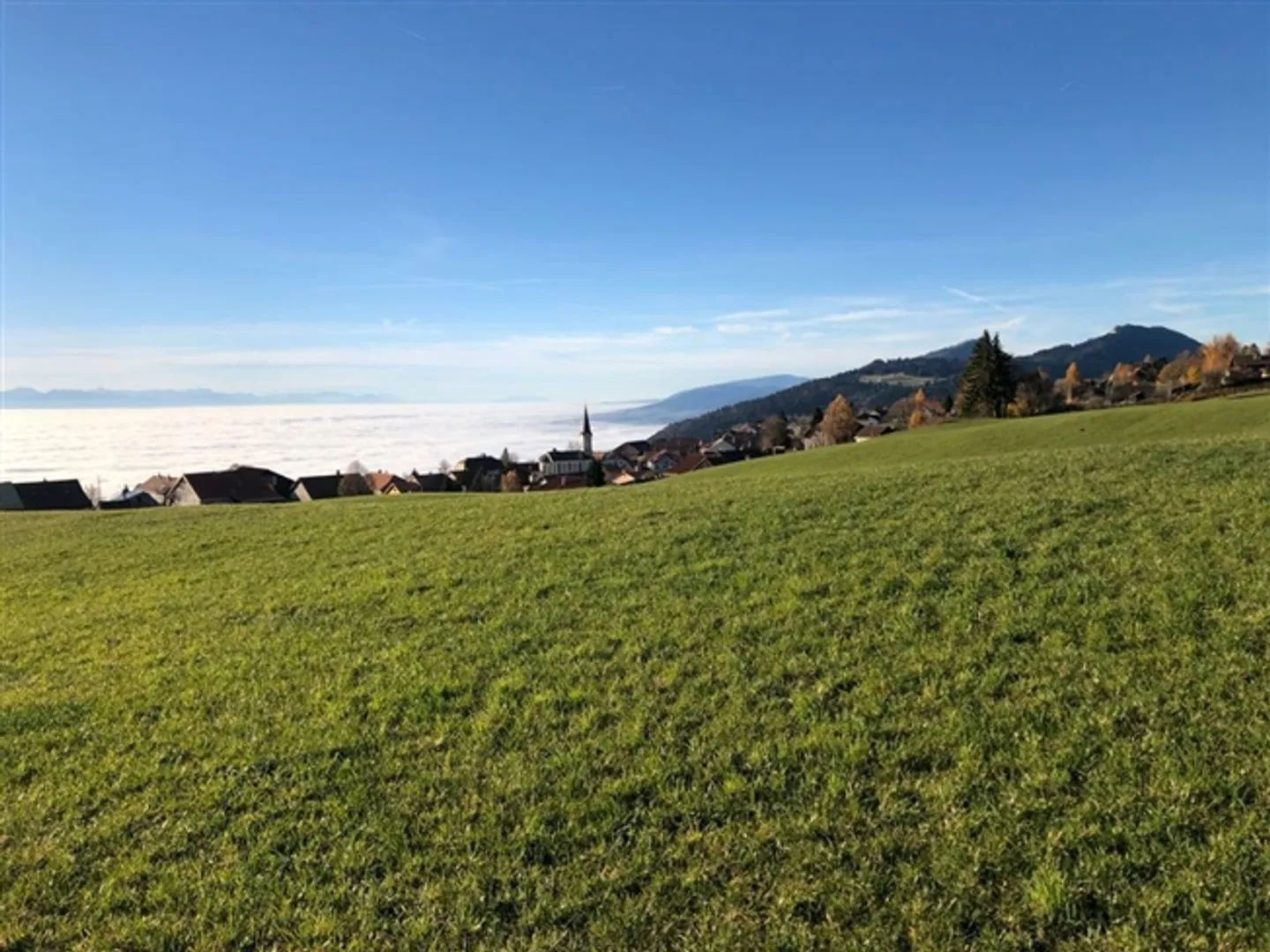 Nouvel appartement de 4,5 pièces en copropriété, terrasse et jardin Résidence Grand-Vue - Photo 12 sur 14
