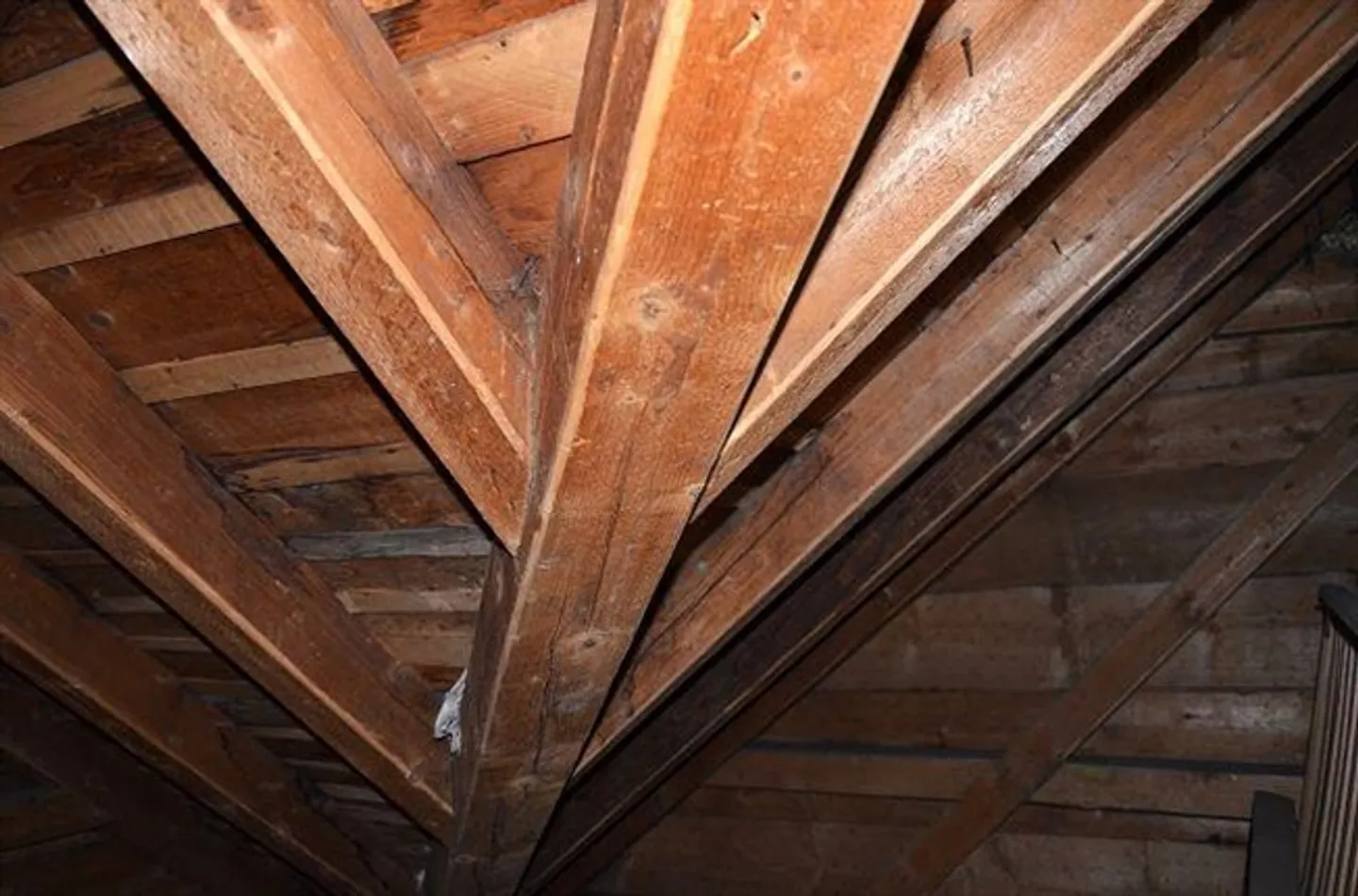 Casa Plurifamiliare con Giardino - Foto 20 di 20