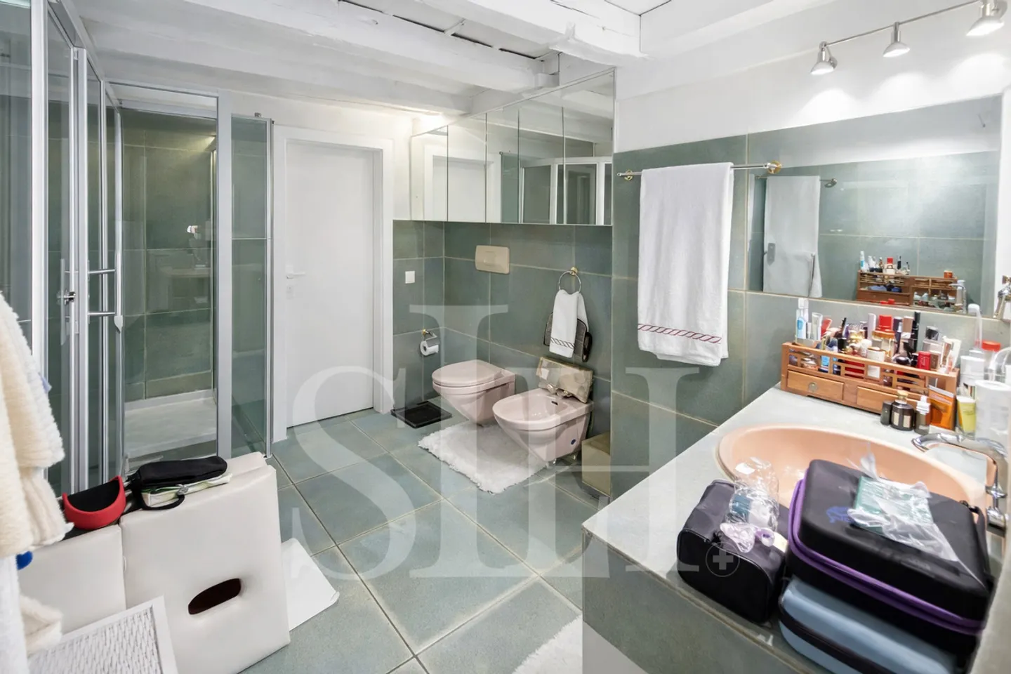 Attico Incantevole a Ginevra - Foto 4 di 15