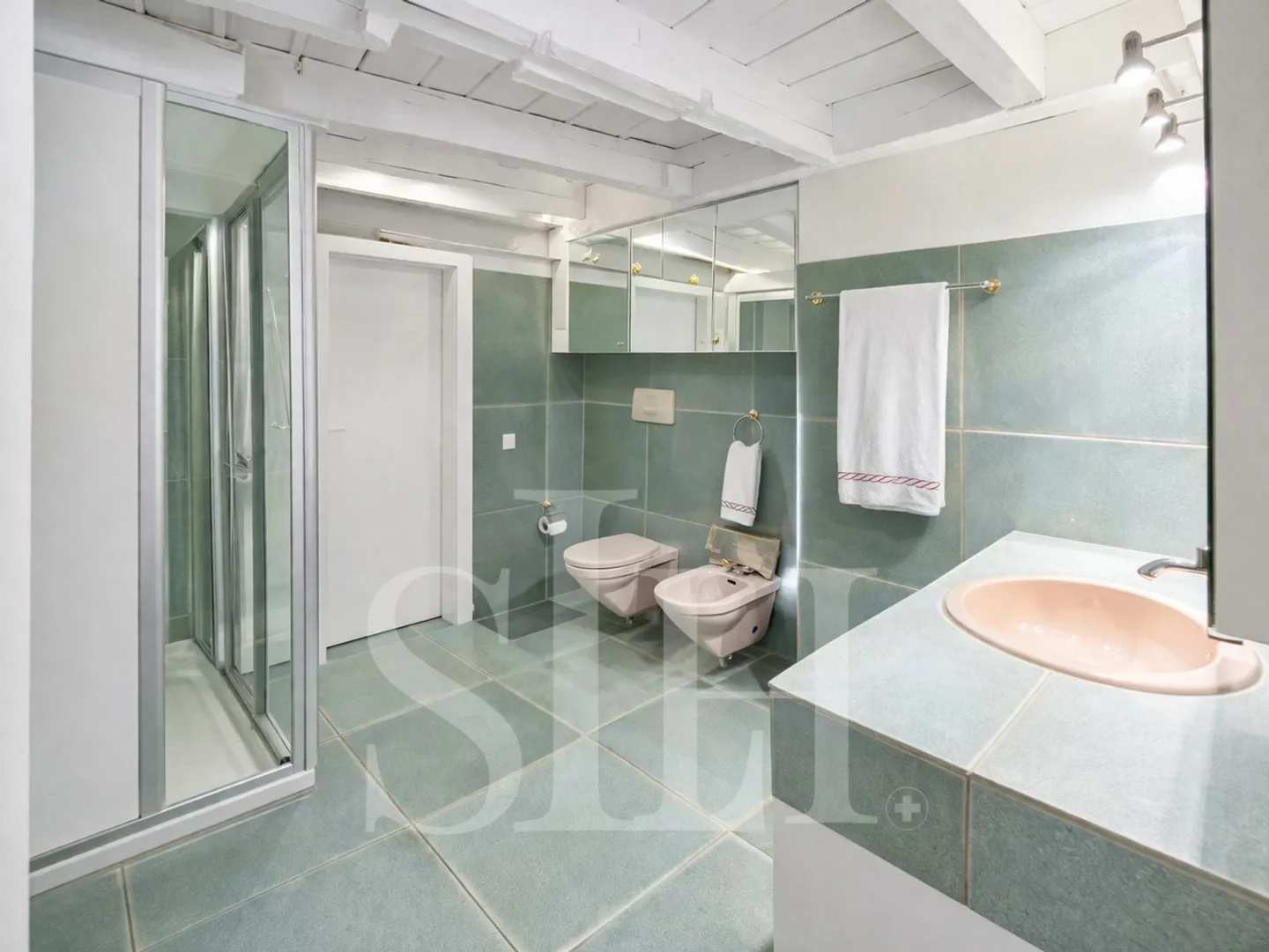 Attico Incantevole a Ginevra - Foto 5 di 15