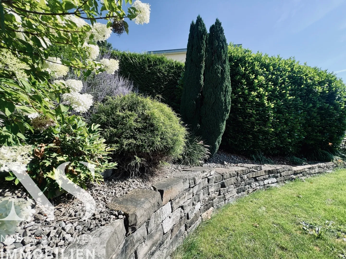 Casa singola in affitto - Foto 4 di 24