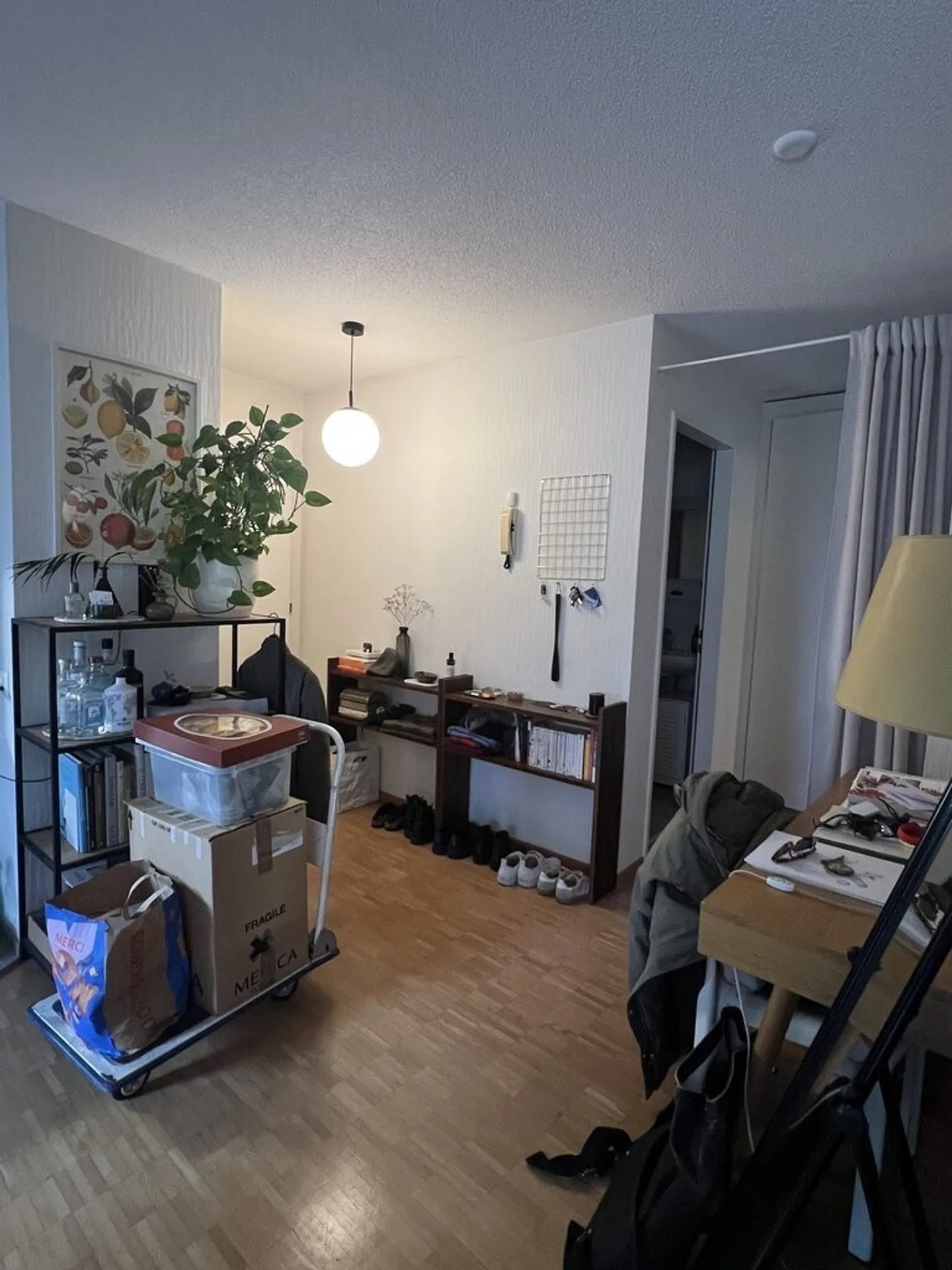 Appartement 2.5 pièces - Photo 3 sur 7