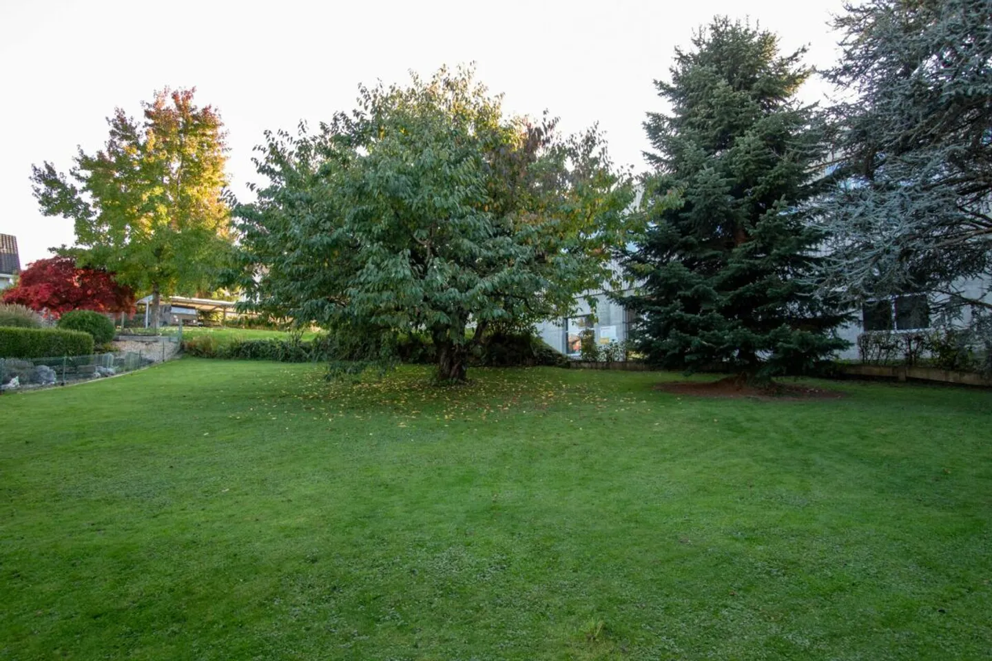 Single house for rent - Photo 3 of 13