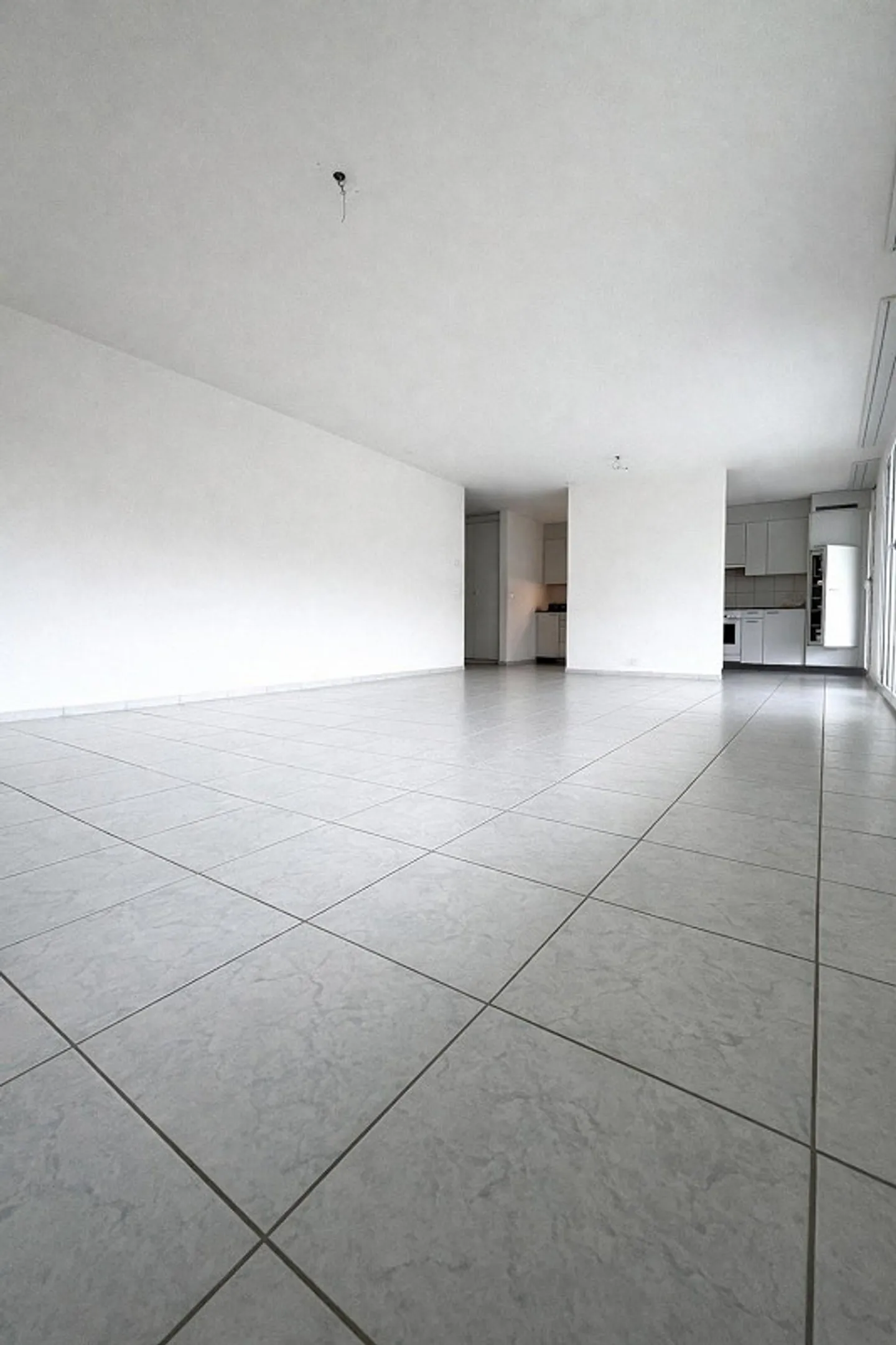 Ampio appartamento familiare conveniente vicino a Olten - Foto 2 di 13