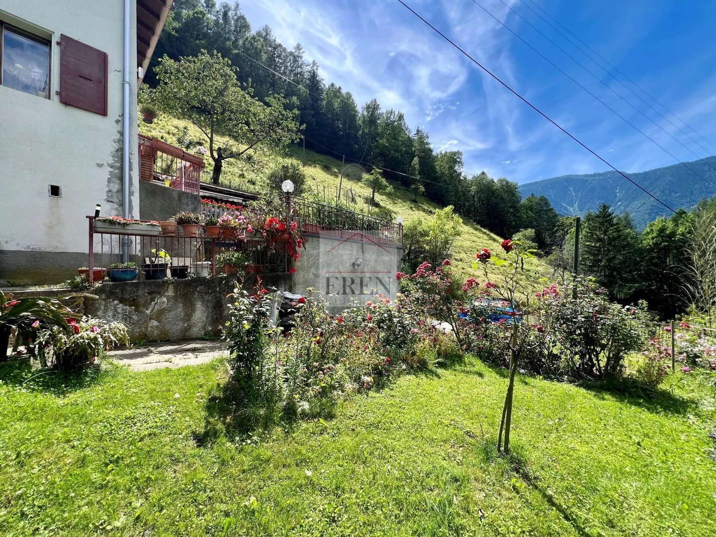 Abitazione con fienile annesso su terreno agricolo e forestale di oltre - Foto 2 di 23