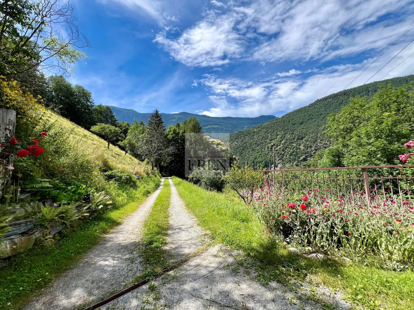 Abitazione con fienile annesso su terreno agricolo e forestale di oltre - Foto 14 di 23