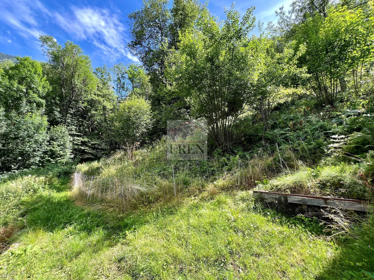 Abitazione con fienile annesso su terreno agricolo e forestale di oltre - Foto 23 di 23