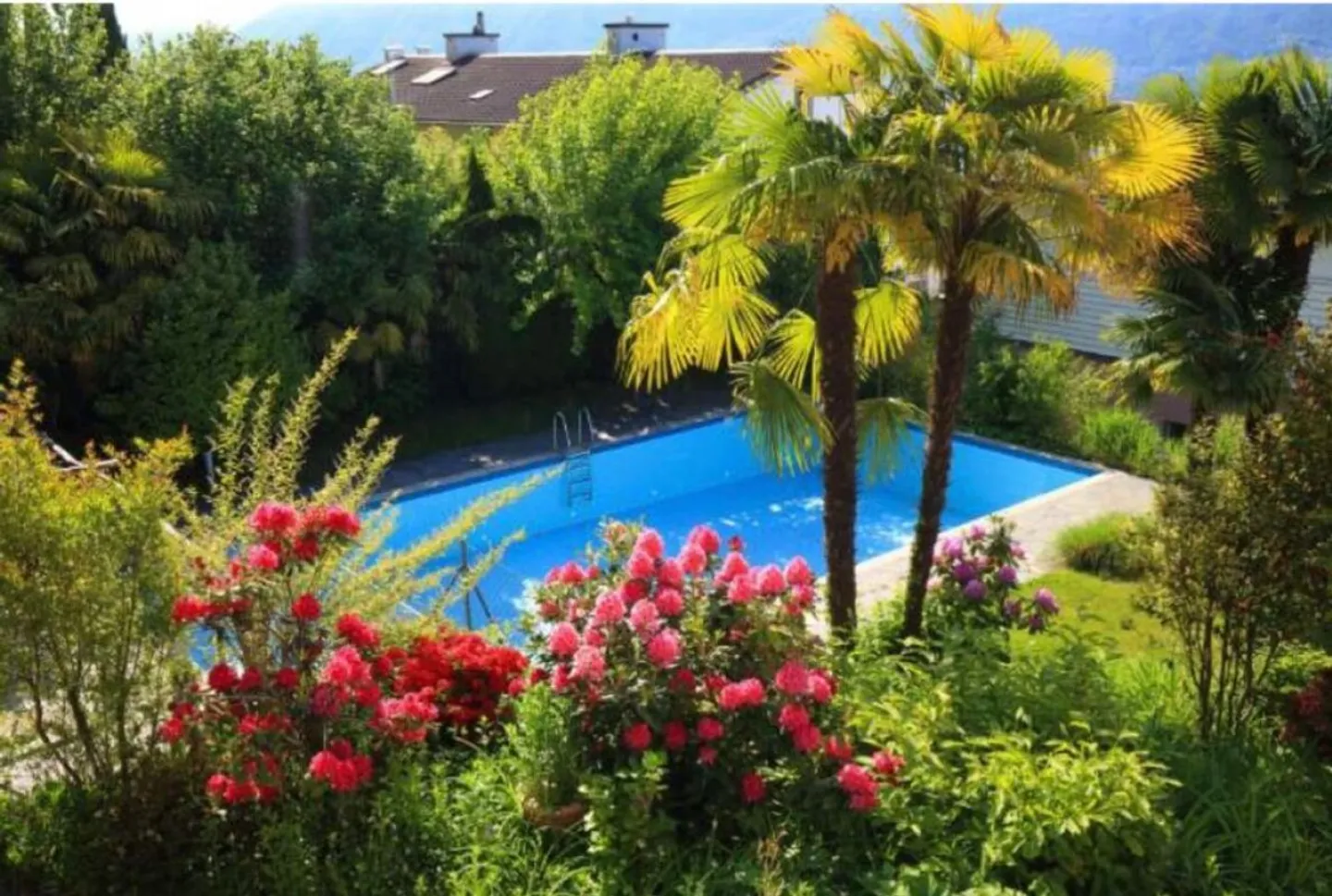 8 A - 4.5 with garden and communal pool - Residenza Lumino Locarno Monti - Photo 3 of 6