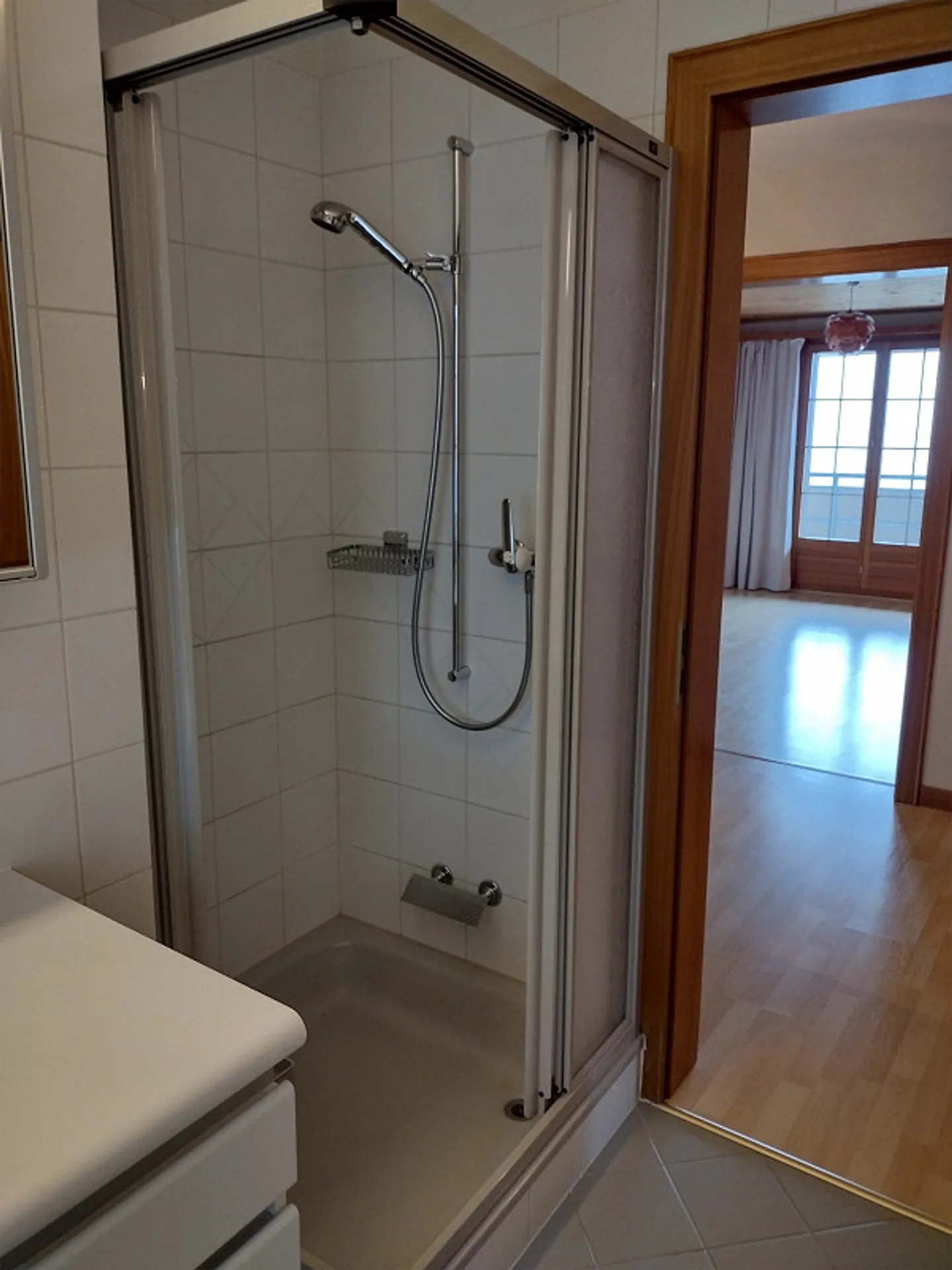 High-quality large 4.5 room apartment with top view and sunshine - Photo 26 of 29