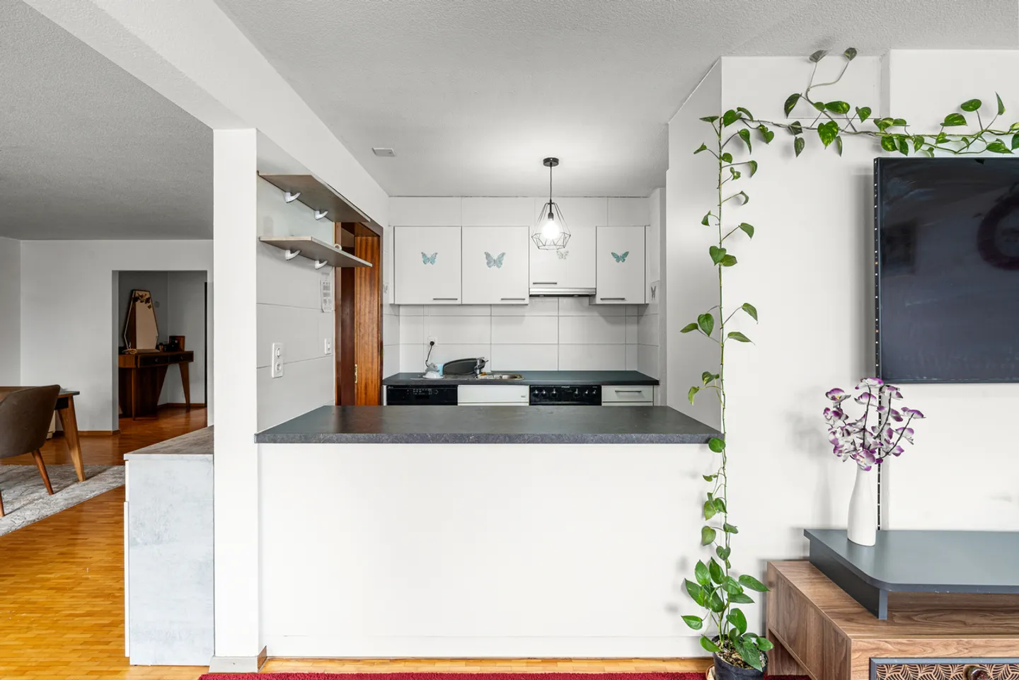 Bright apartment with private garden in the center of Aig - Photo 5 of 13