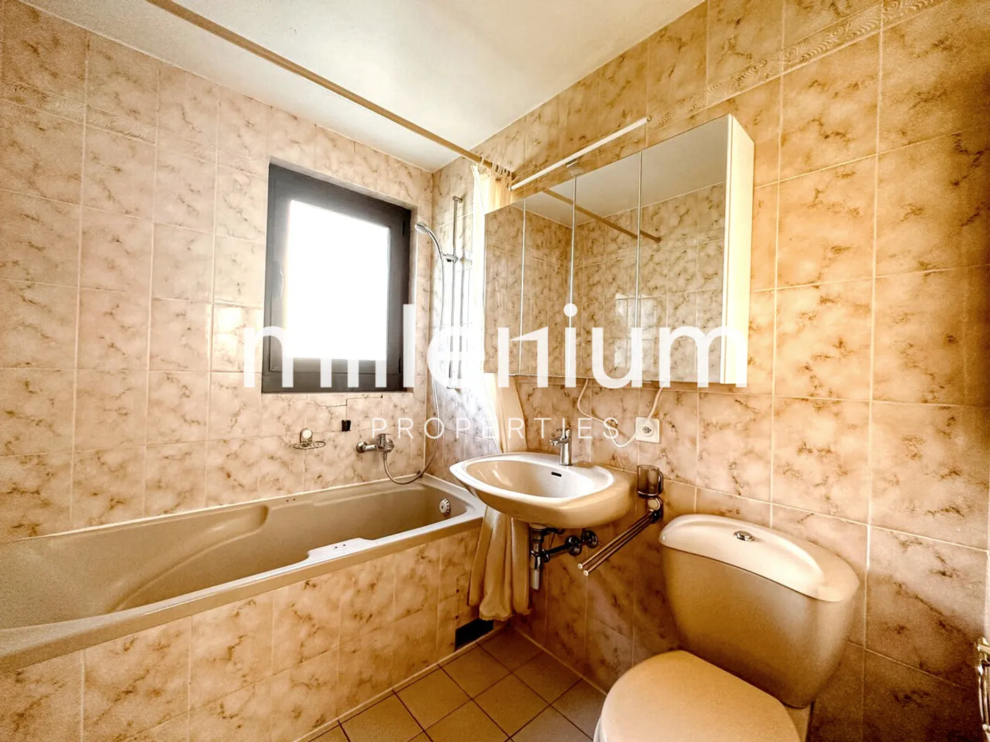 Bella villa a Bellevue vicino alle organizzazioni internazionali - Foto 15 di 15