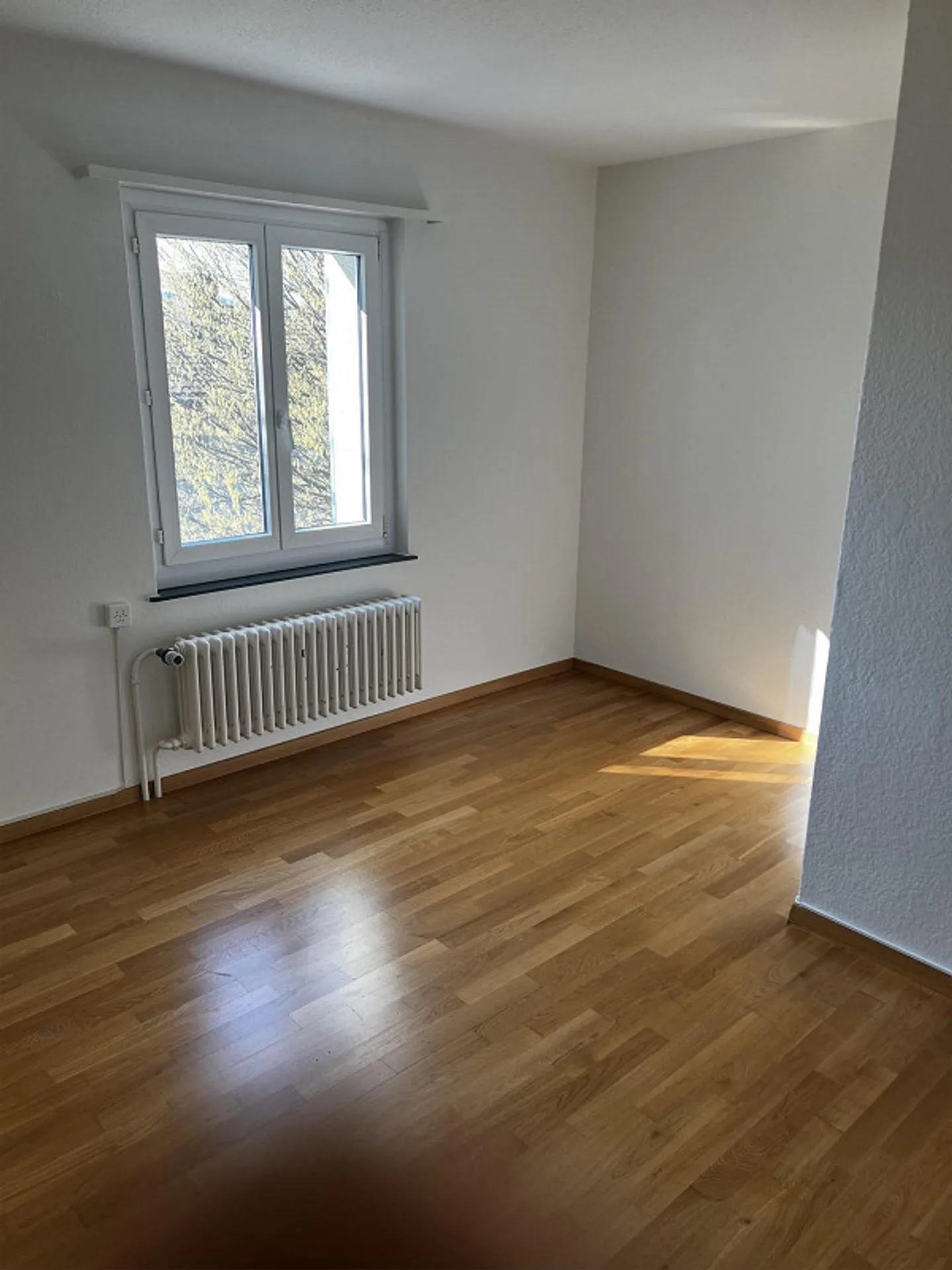 Rooms for Rent in Oberengstringen - Photo 2 of 15