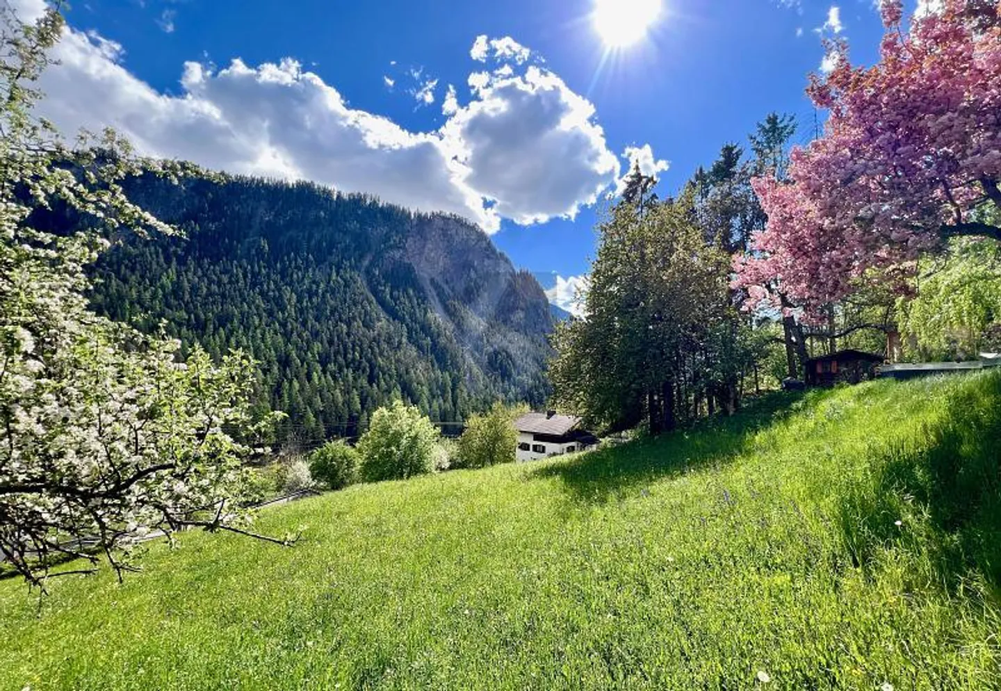 AN EINMALIGER UND SONNIGER LAGE MIT BAULANDRESERVE - Photo 1 sur 4