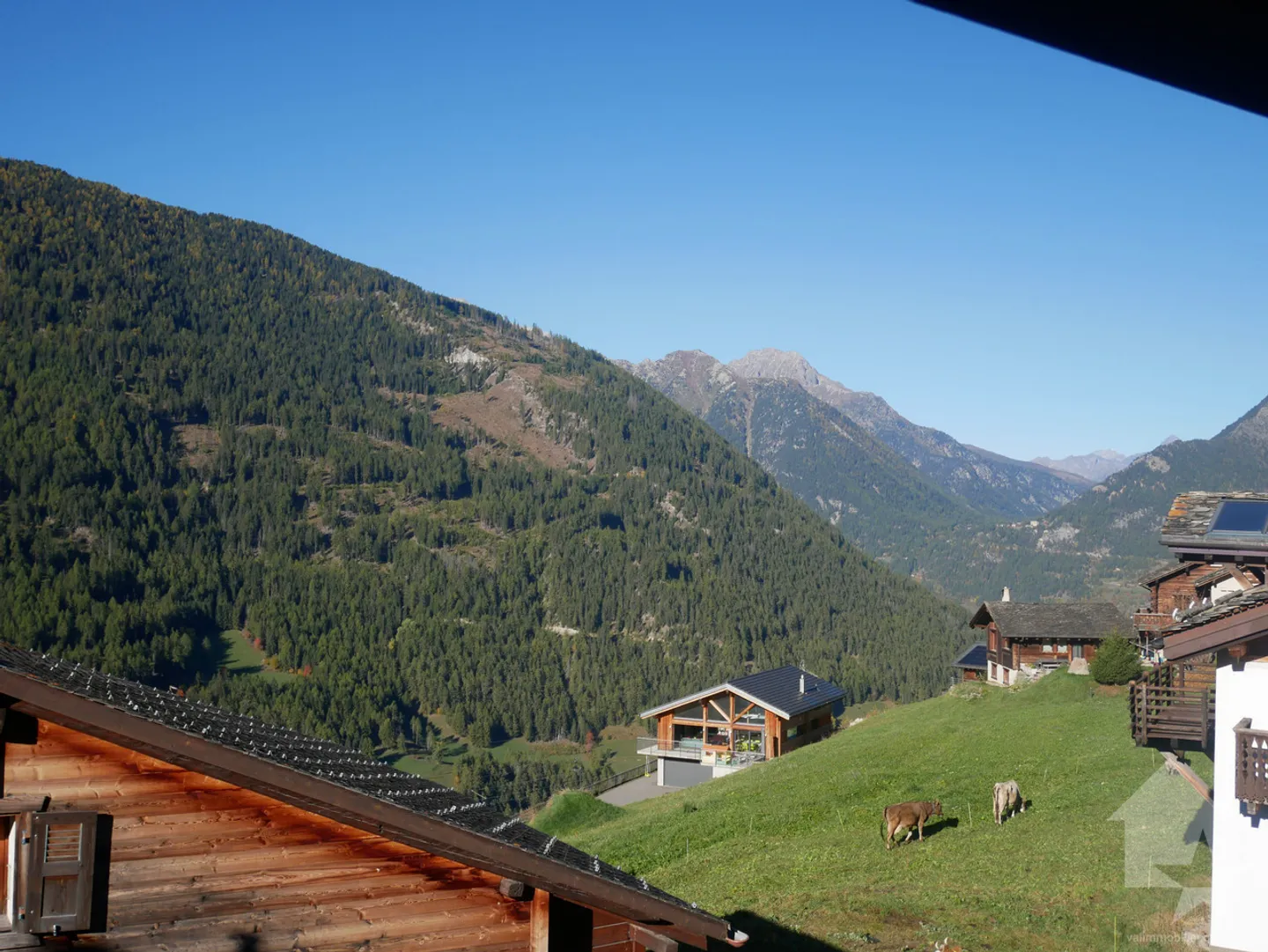 Charmante Wohnung mit Balkon - Foto 2 von 13