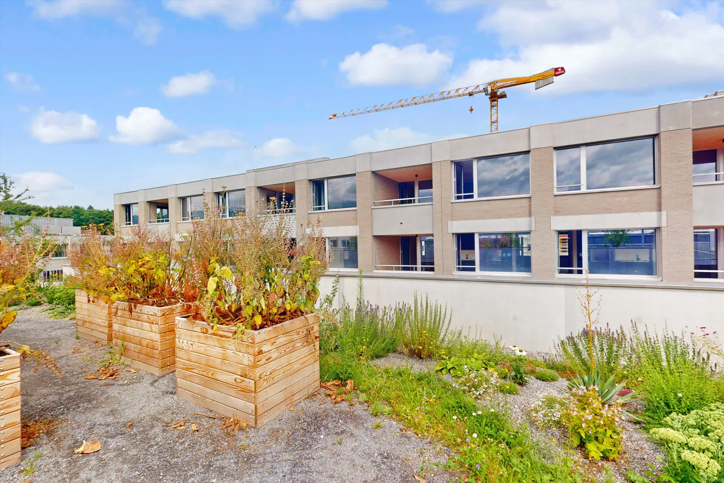 Mieten Sie eine 3 ½ Zimmer Wohnung in Emmenbrücke - Foto 1 von 10